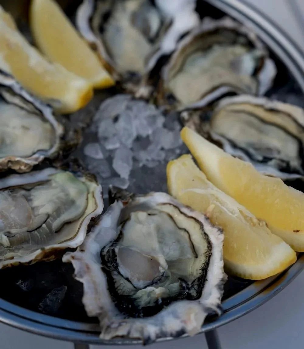 Fresh oysters on the half shell with lemon wedges and ice in a metal bowl.