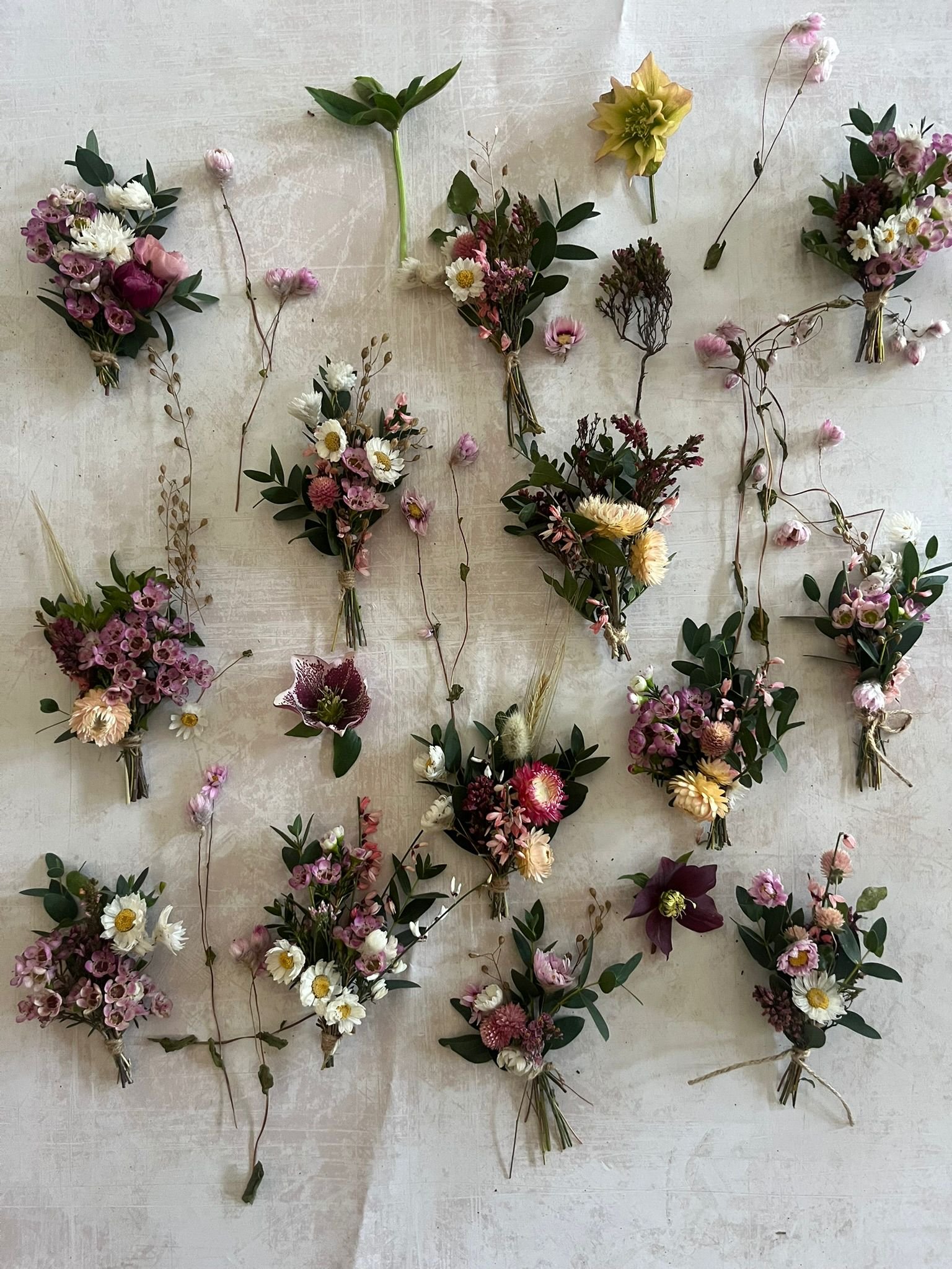 WhatsApp Image 2026-03-18 at 15.16.26.jpeg