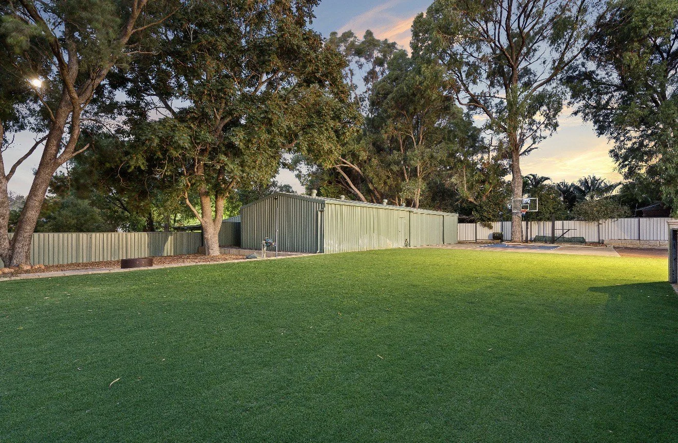 A grassy backyard with trees, a small shed, and a basketball hoop at sunset.