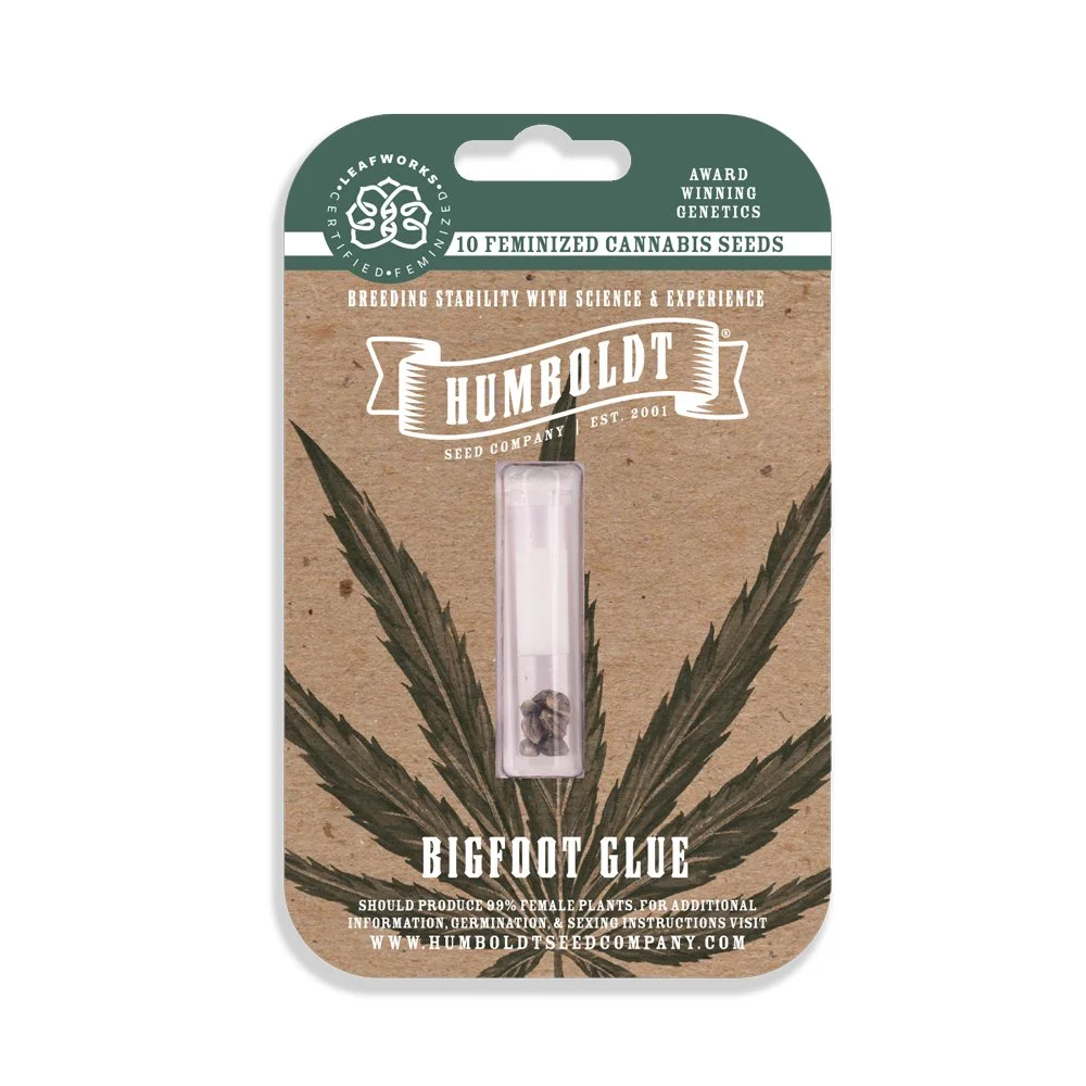 Big Foot Glue