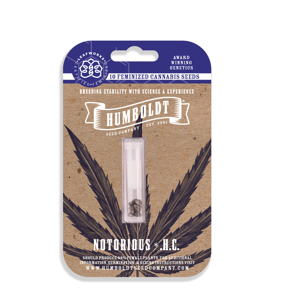 Notorious-THC-mockup-web.webp