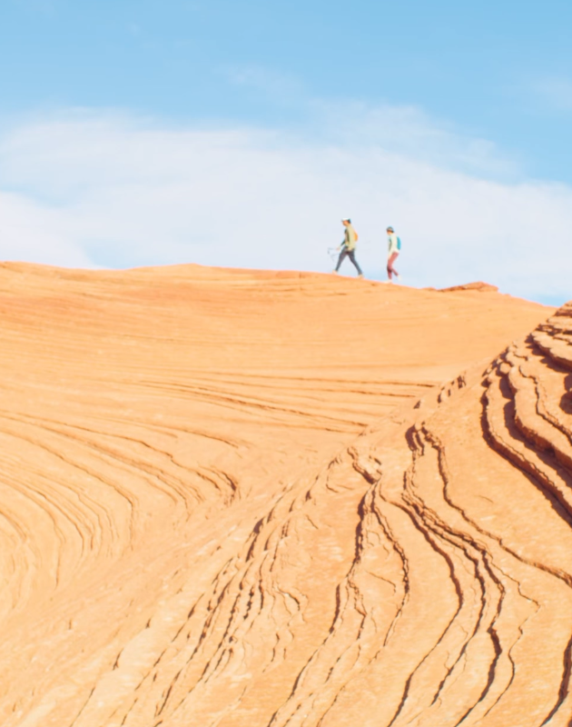 REI Promo Codes: How to Save Big on Outdoor Gear in 2026