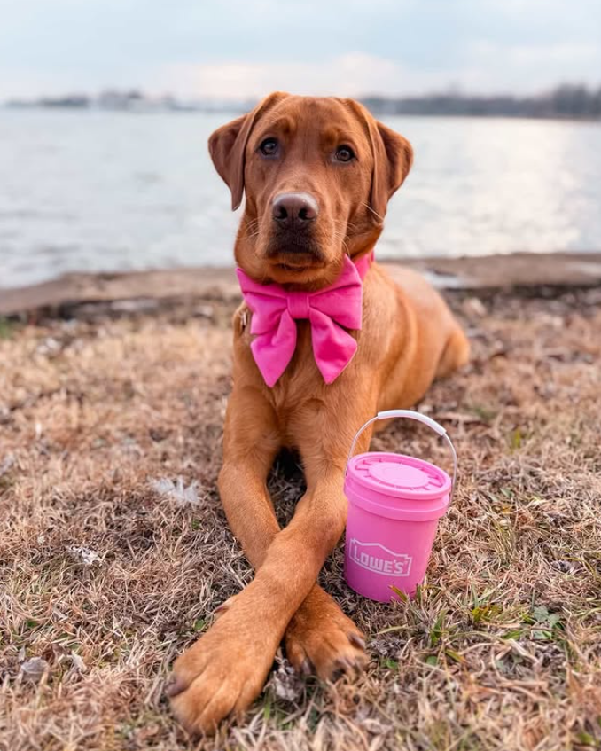 lowes promo codes april 2026