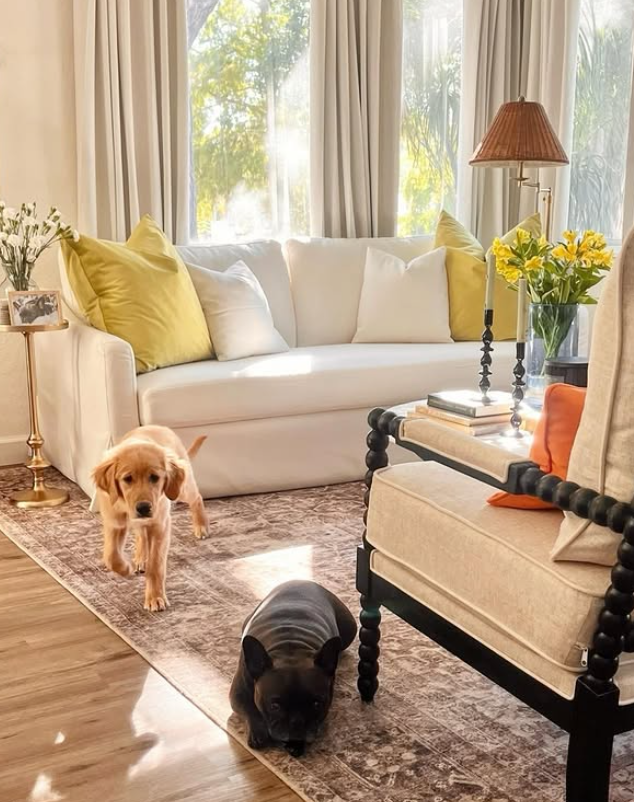 Wayfair Promo Codes April 2026: How to Save Big on Furniture, Decor &amp; Home Essentials