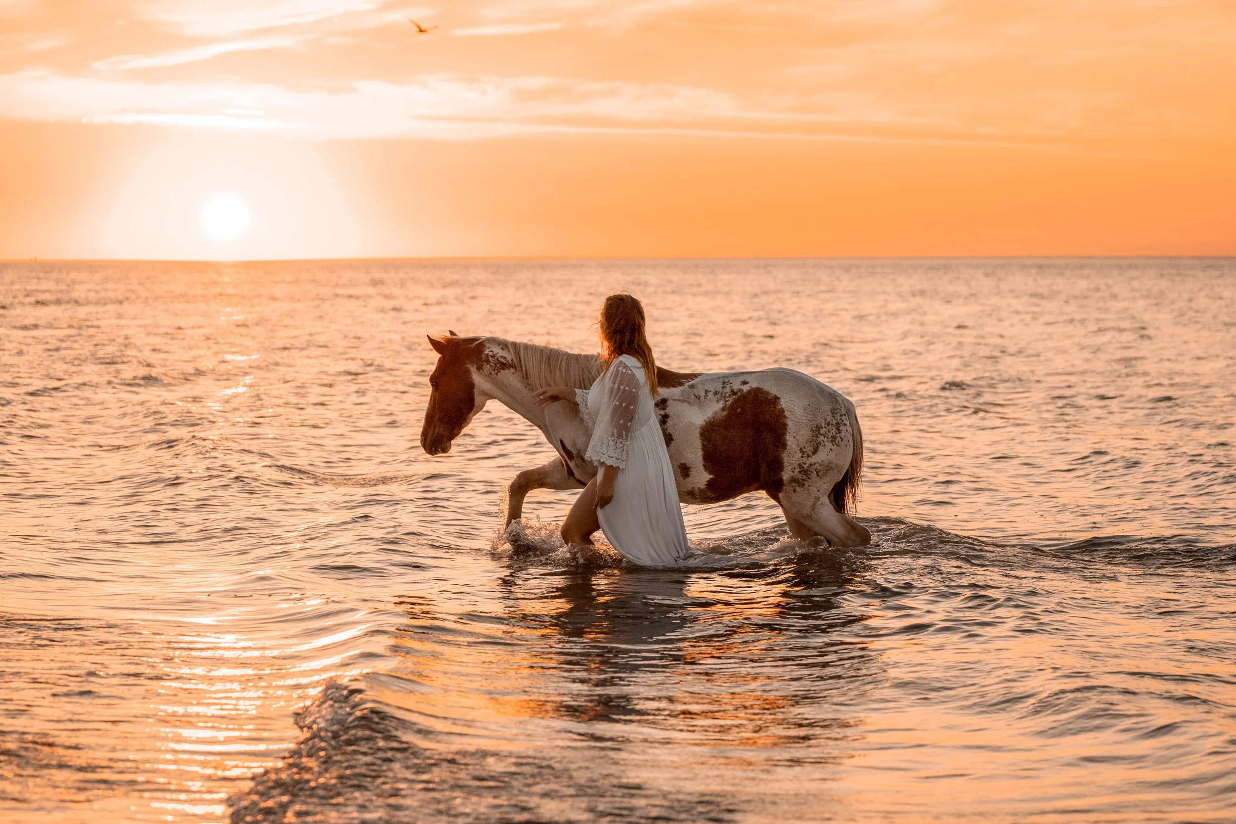 Eine Frau in einem weißen Kleid spaziert bei Sonnenuntergang mit einem weiß-braunen Paint Horse am Meer entlang, während ein Vogel am Himmel fliegt.