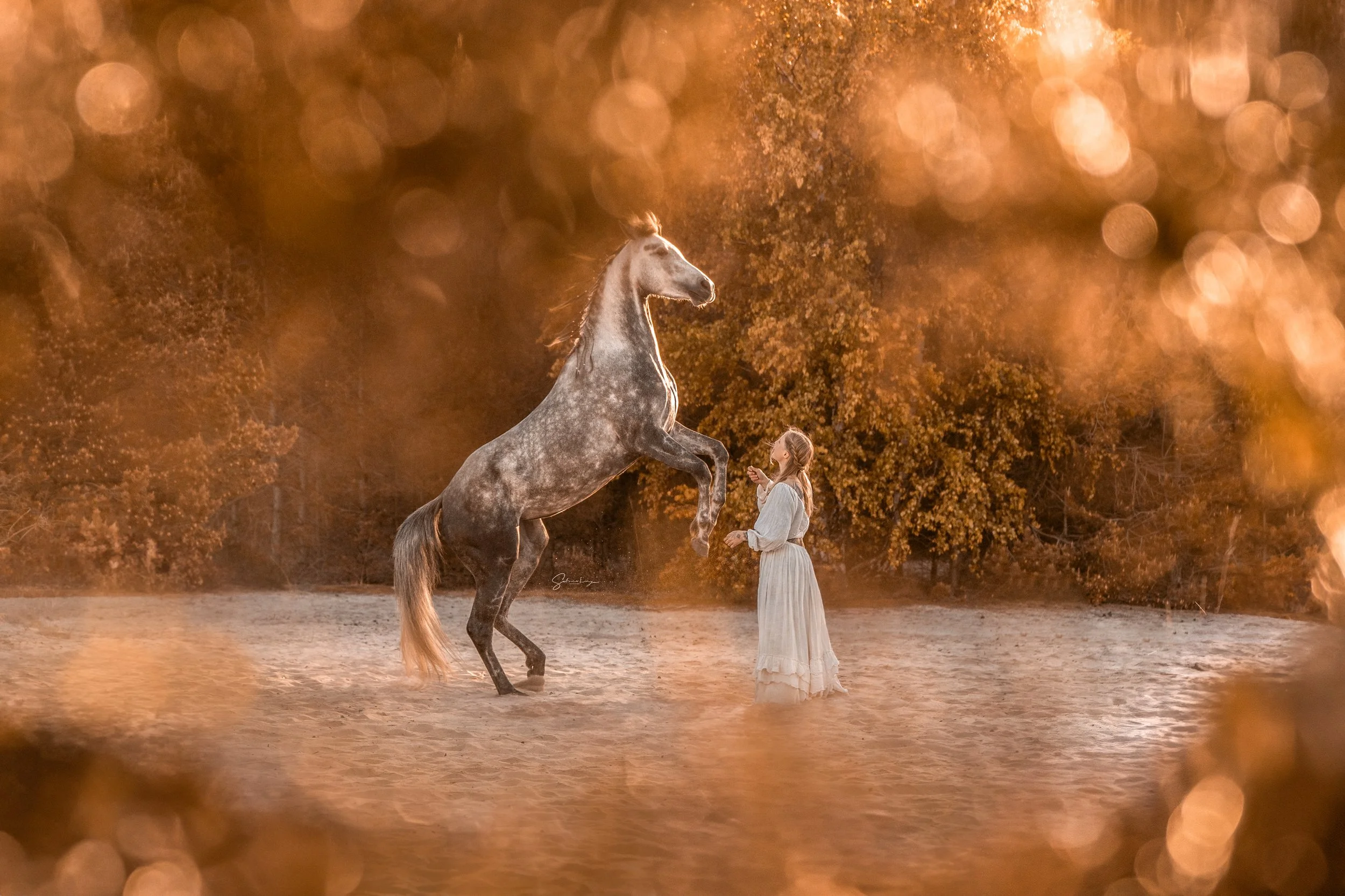 Ein Mädchen in einem weißen Kleid steht auf einem Feld neben einem sich aufbäumenden Pferd, umgeben von warmem, goldenem Bokeh-Licht und herbstlichen Bäumen im Hintergrund.