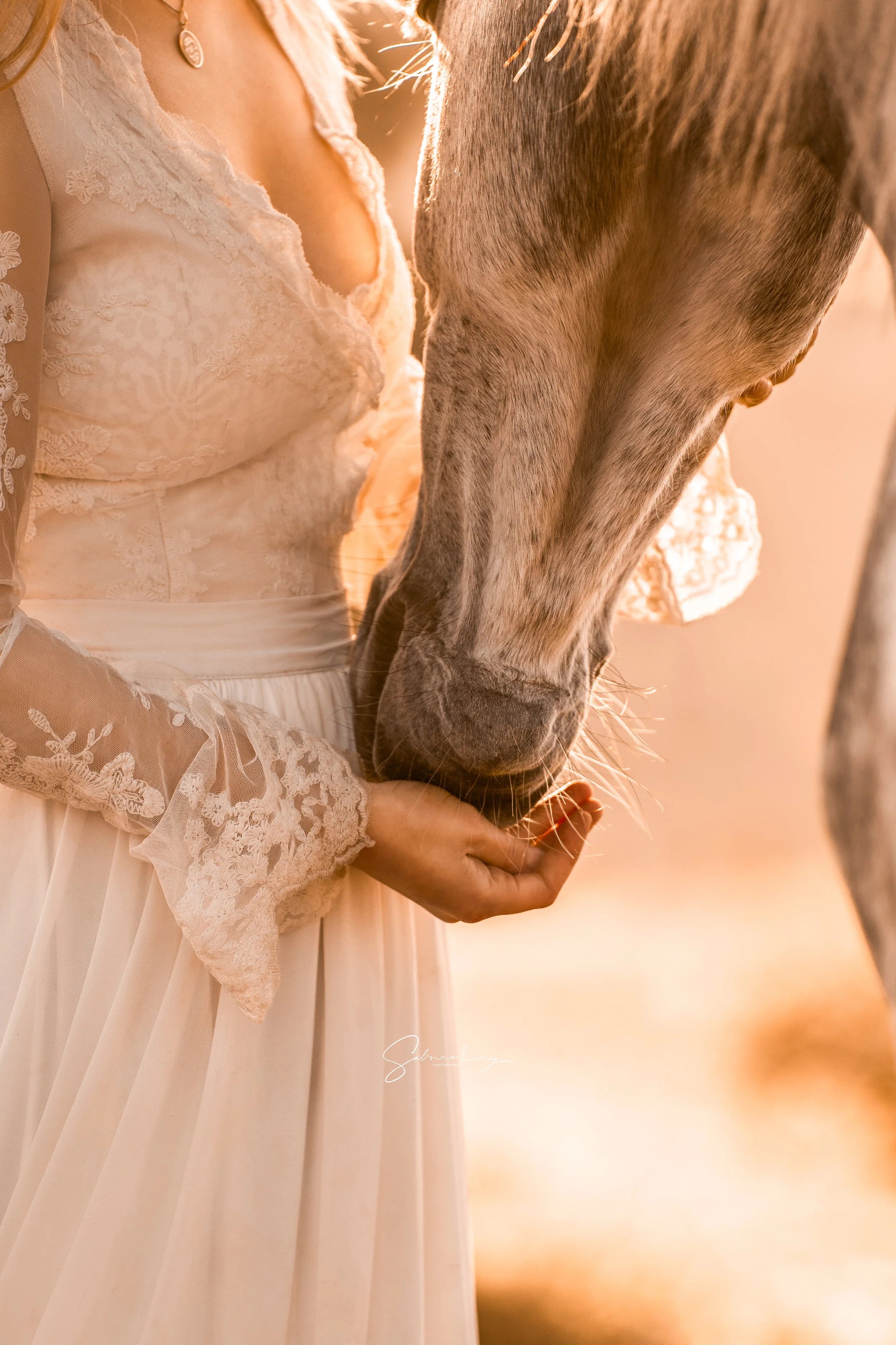 Eine Frau in einem cremefarbenen Spitzenkleid hält die Schnauze eines Pferdes und streichelt sie sanft. Im Hintergrund scheint warmes Sonnenlicht, das eine sanfte, friedliche Atmosphäre schafft.