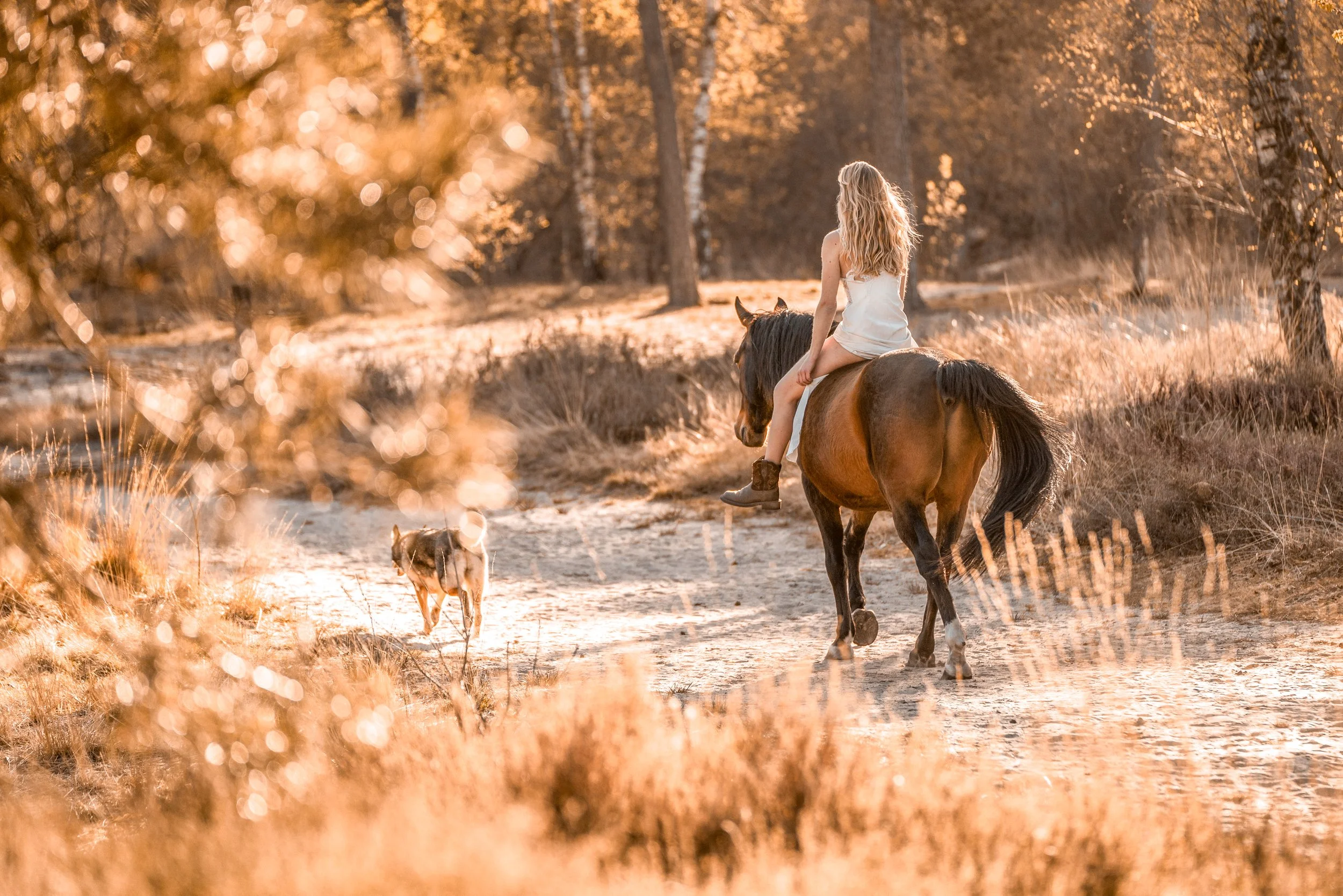 Ein Mädchen mit langen, lockigen Haaren reitet bei Sonnenuntergang auf einem braunen Pferd durch eine herbstliche Landschaft mit goldenen Blättern.