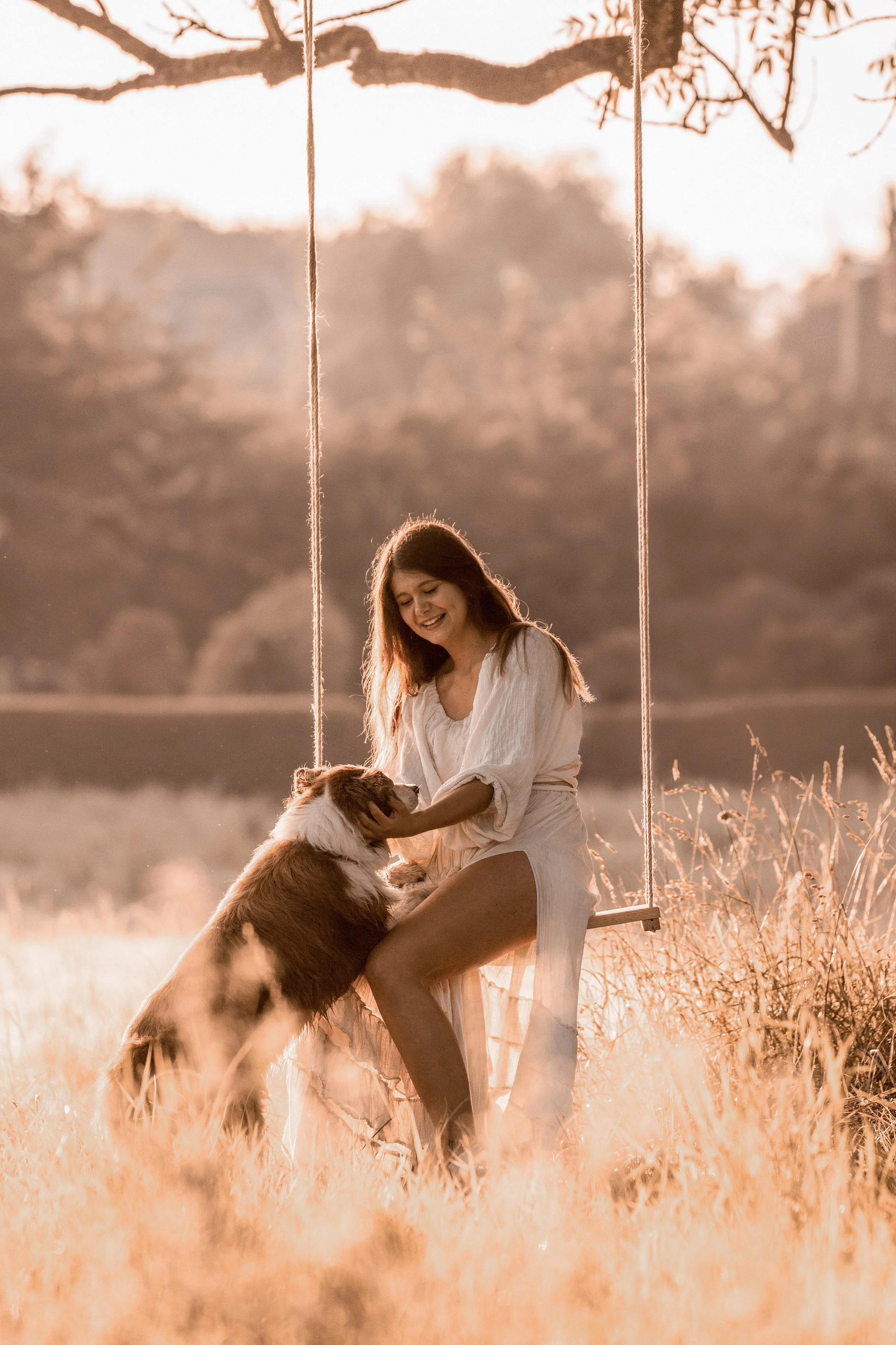 A woman with long hair wearing a white dress sitting on a swing in a golden field at sunset, gently holding a dog with a large breed, fluffy coat, and white markings on its face and chest. The background features trees and a soft, warm glow from the 