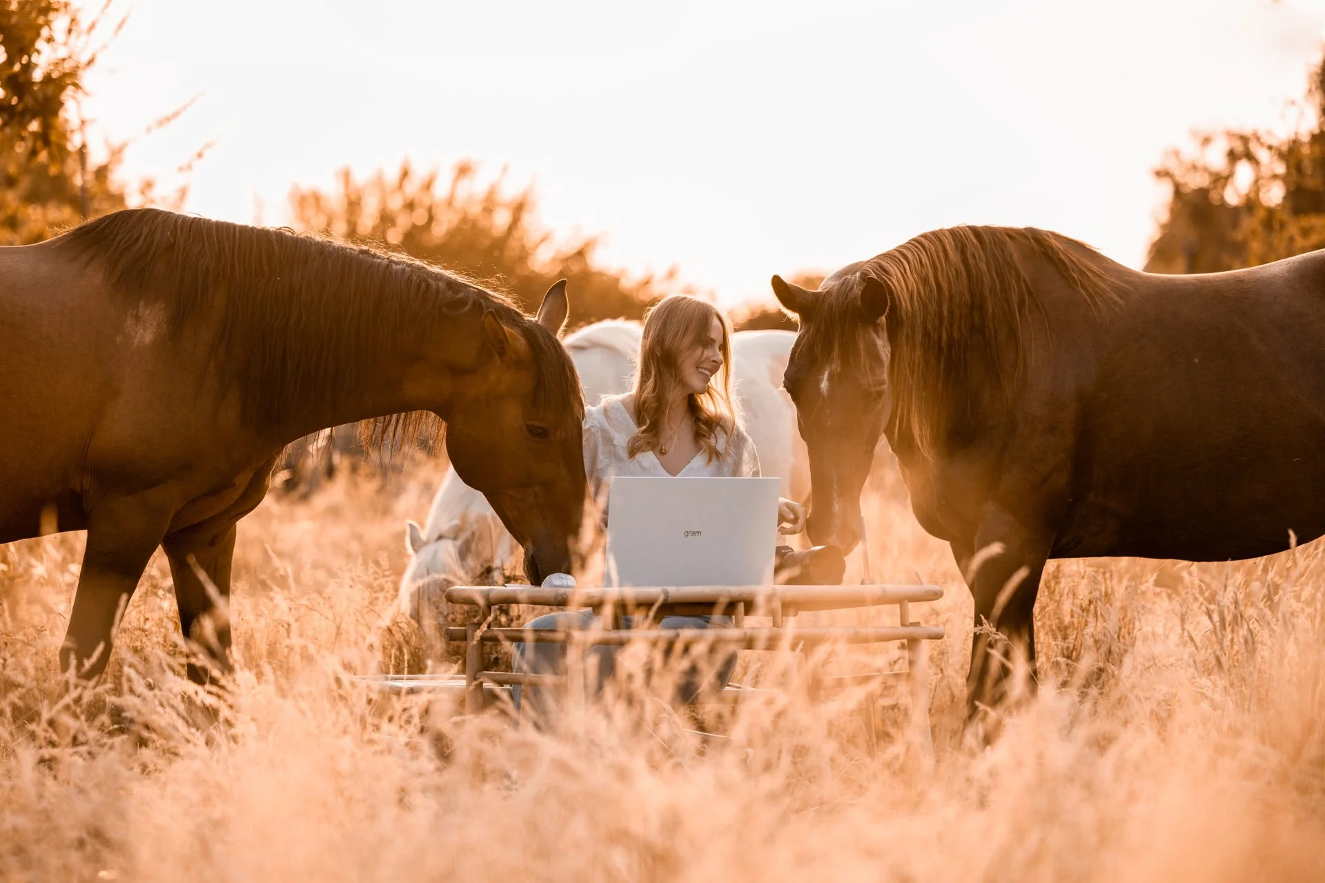 Eine junge Frau sitzt auf einem Picknickkorb inmitten eines goldgelben Grasfeldes im Freien, umgeben von mehreren braunen und weißen Pferden bei Sonnenuntergang.