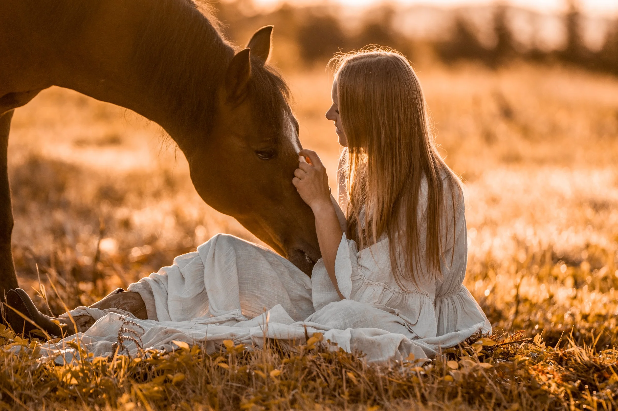 A young girl with long red hair and wearing a white dress sitting on the ground in an autumn landscape at sunset, touching the nose of a brown horse with a dark mane.