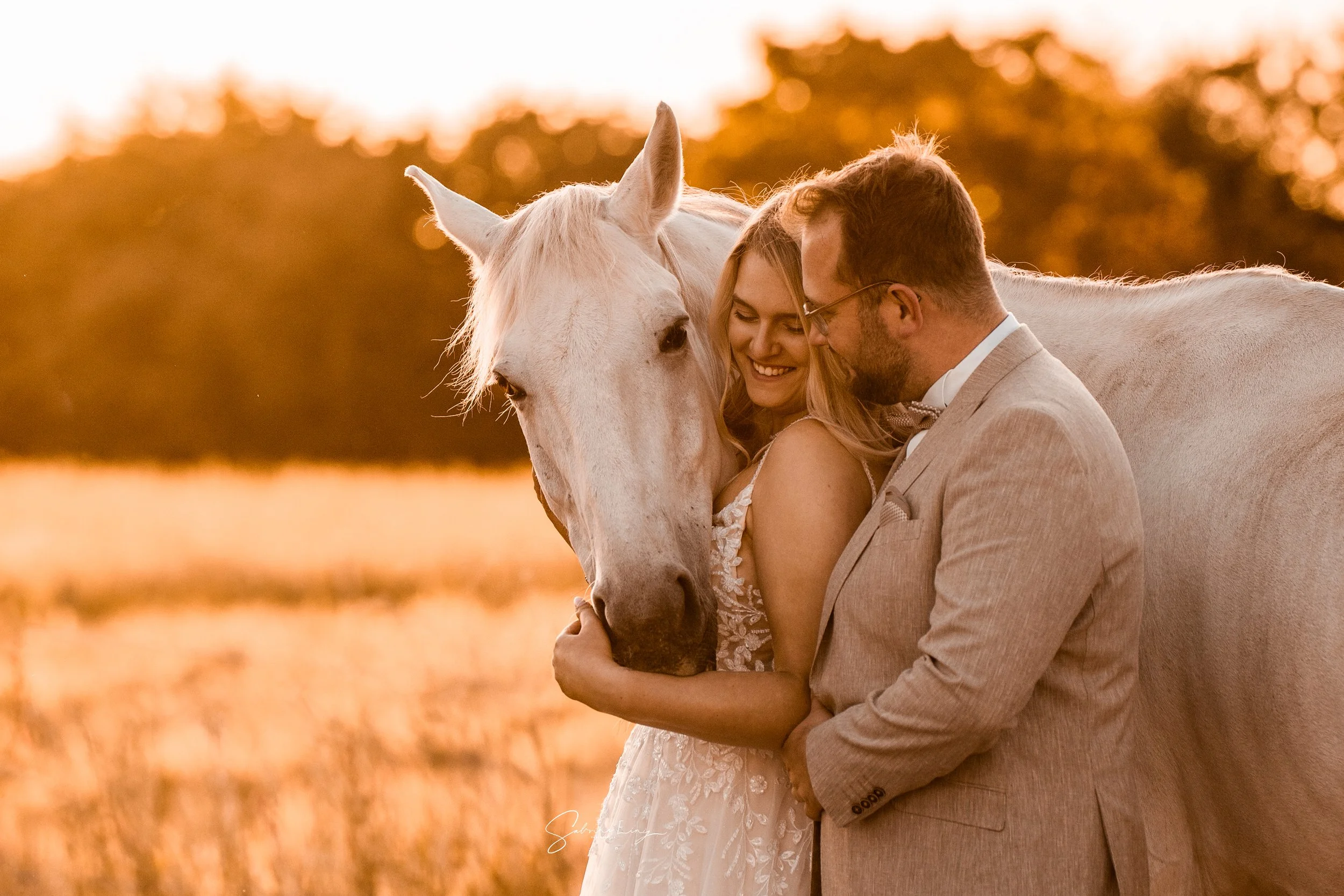 Pferdefotografie Dänemark Hochzeit