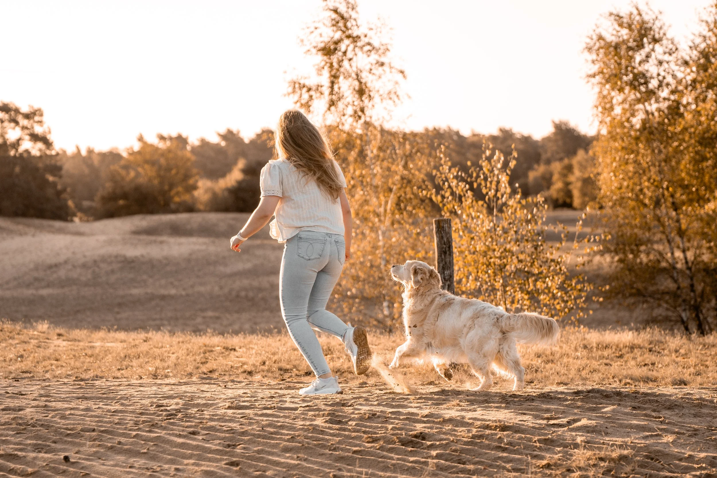 A woman walking with two dogs through a field in the warm sunlight during autumn.