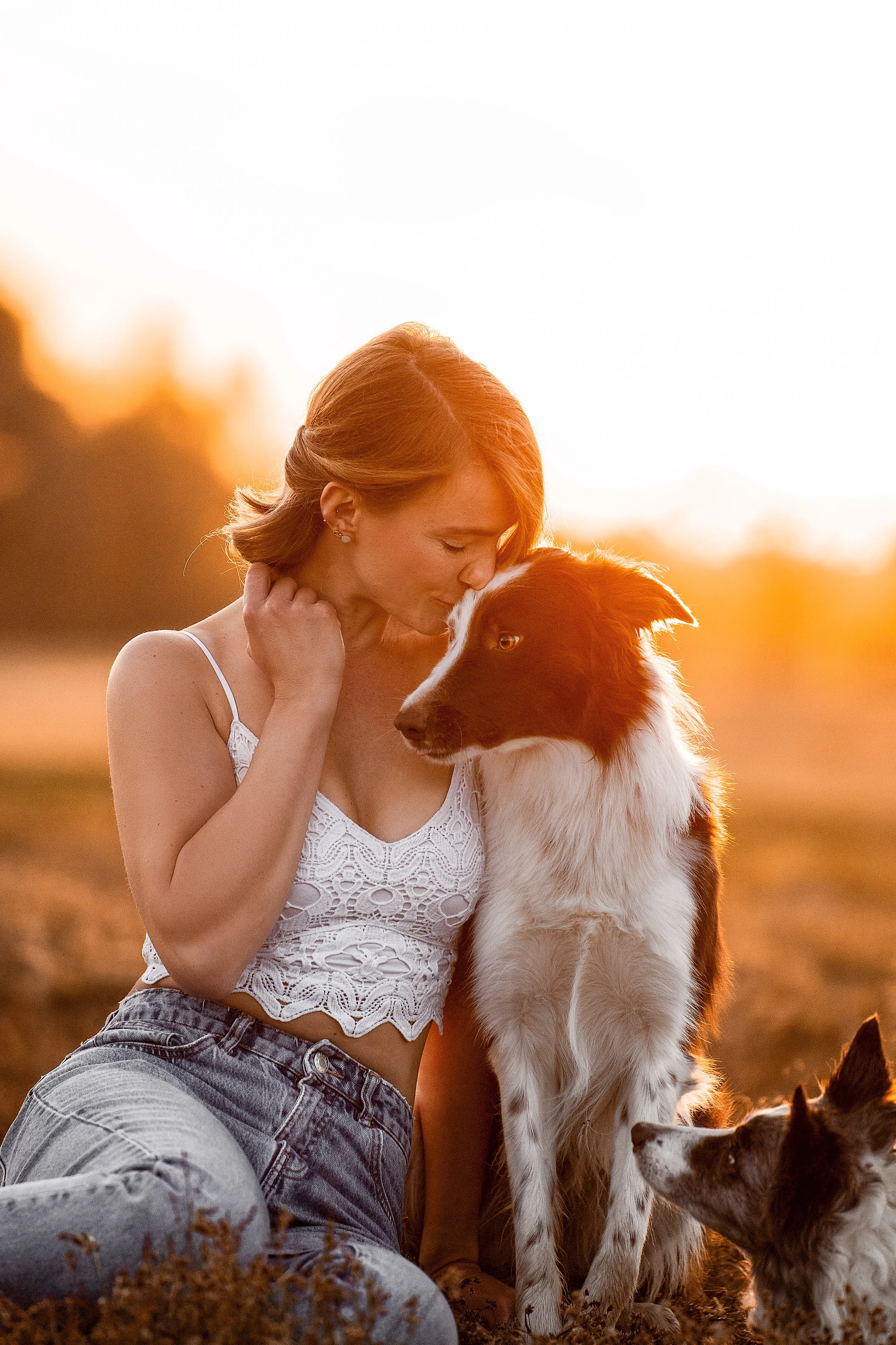 A woman with red hair, wearing a white lace top and jeans, and two dogs, one large Border Collie and one smaller dog, in a field during sunset, close-up with warm lighting.