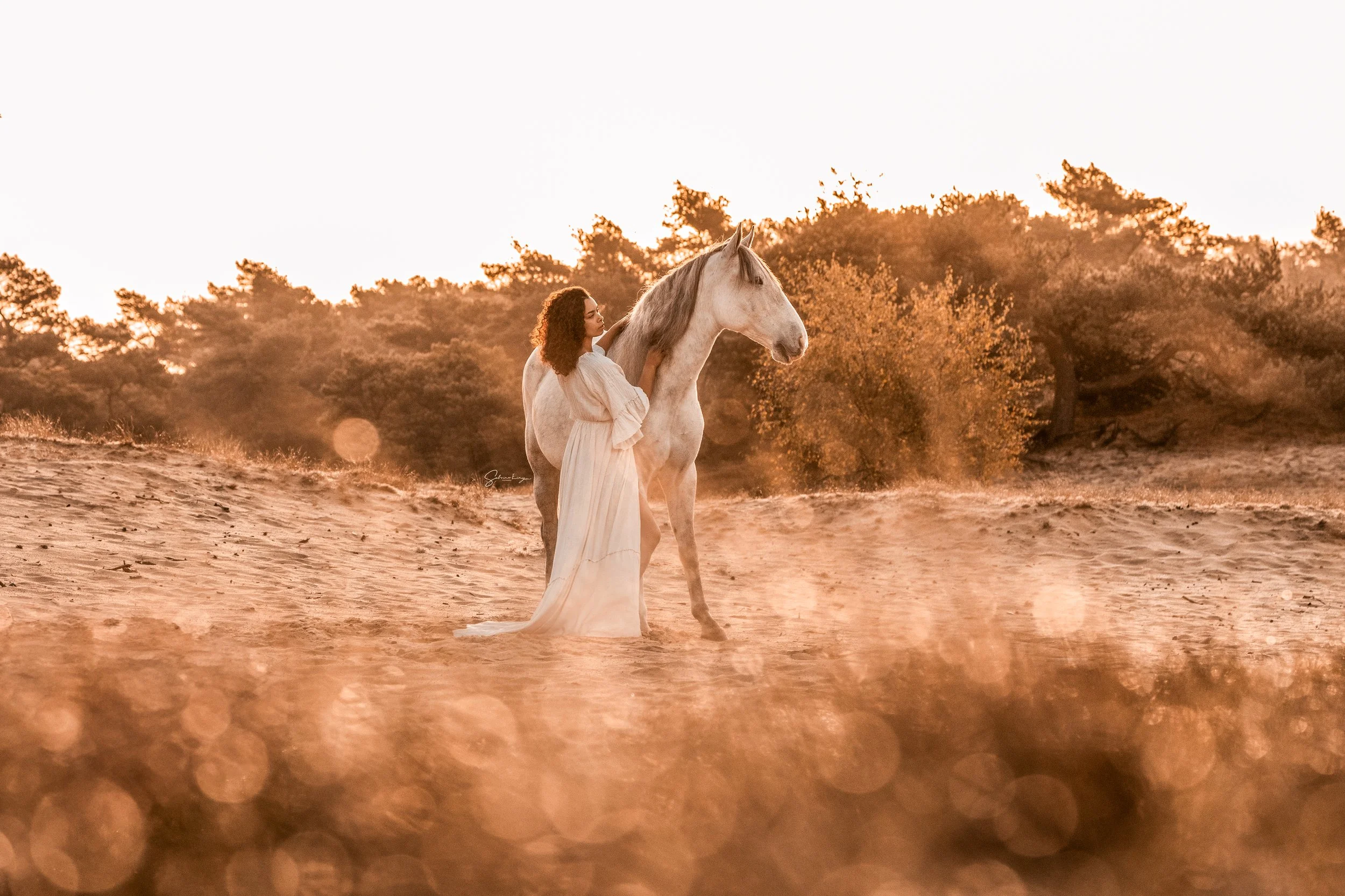 Equine Photography Rømø
