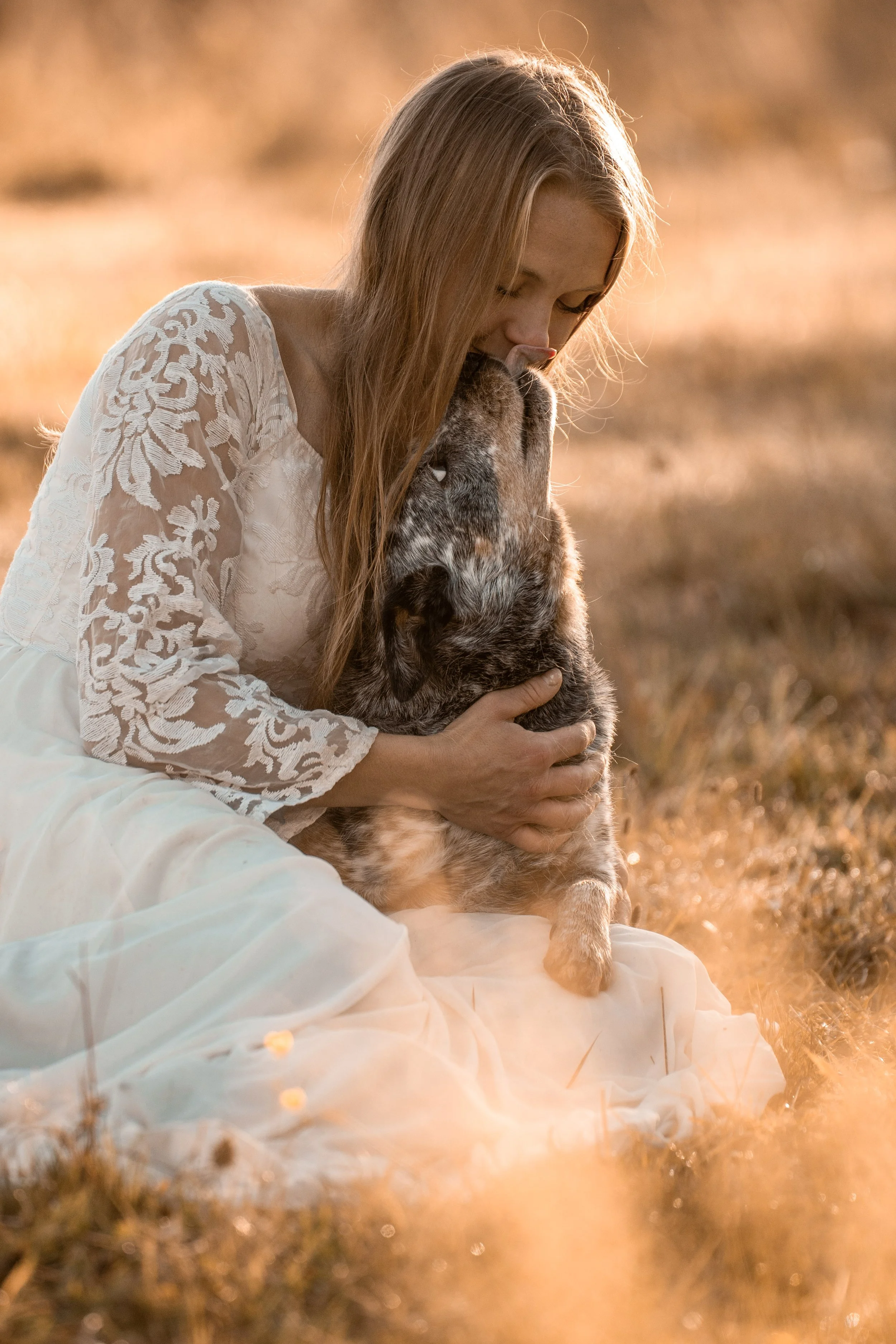A woman with long hair, wearing a white lace dress, sitting on the ground in a field with tall grass during sunset, gently holding and touching the face of a large dog with a brindle coat, both appearing calm and affectionate.