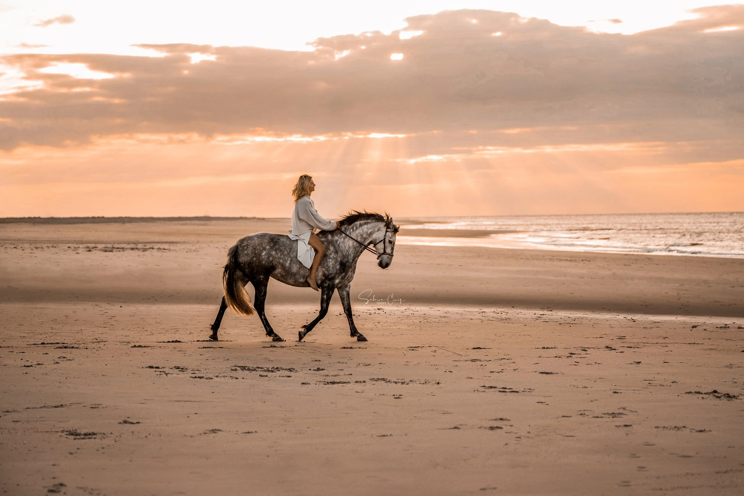Eine Frau reitet bei Sonnenuntergang auf einem grauen Pferd am Strand entlang, bei teilweise bewölktem Himmel und goldenem Licht.