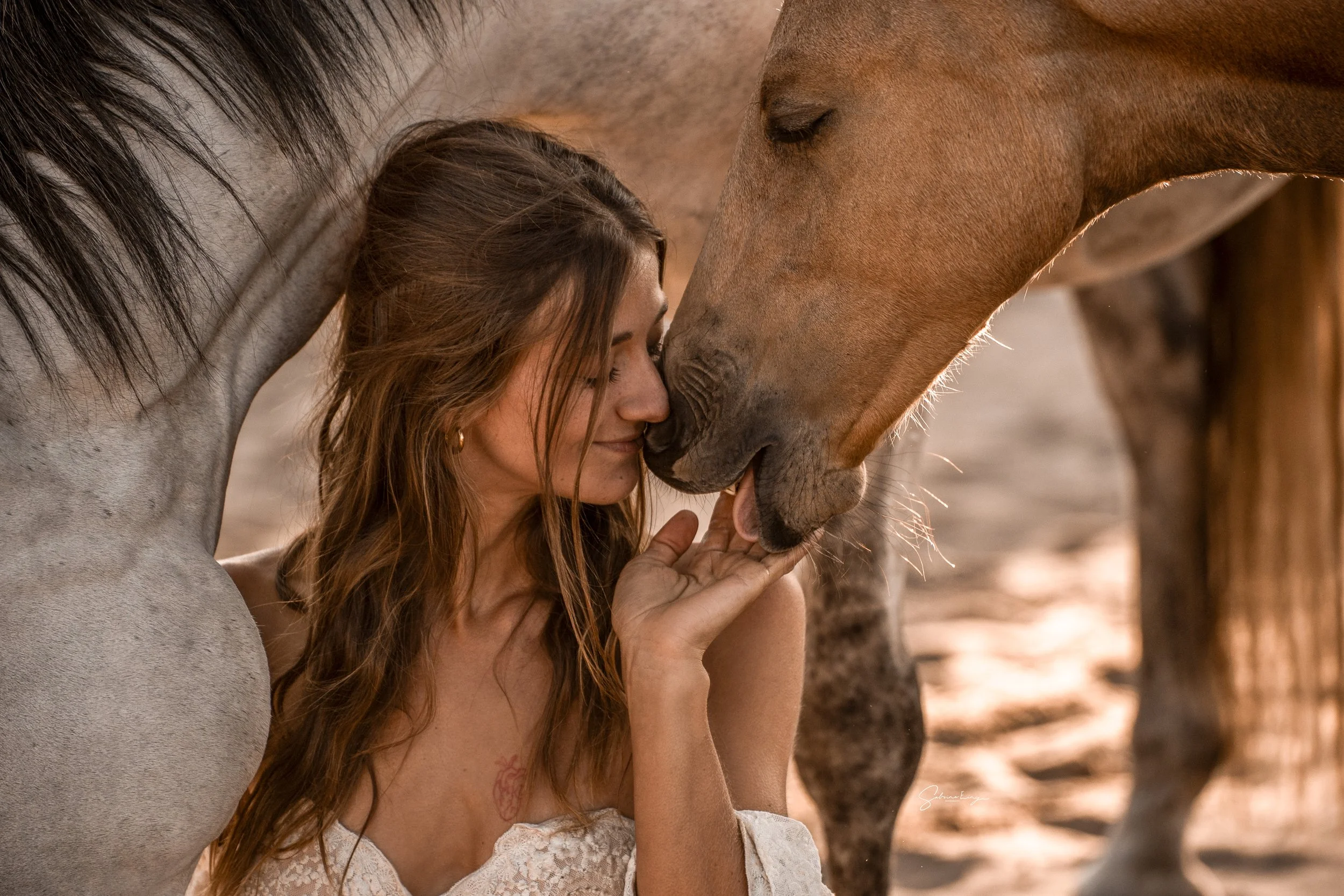 A woman with long, wavy hair touching noses with a brown horse outdoors during sunset.