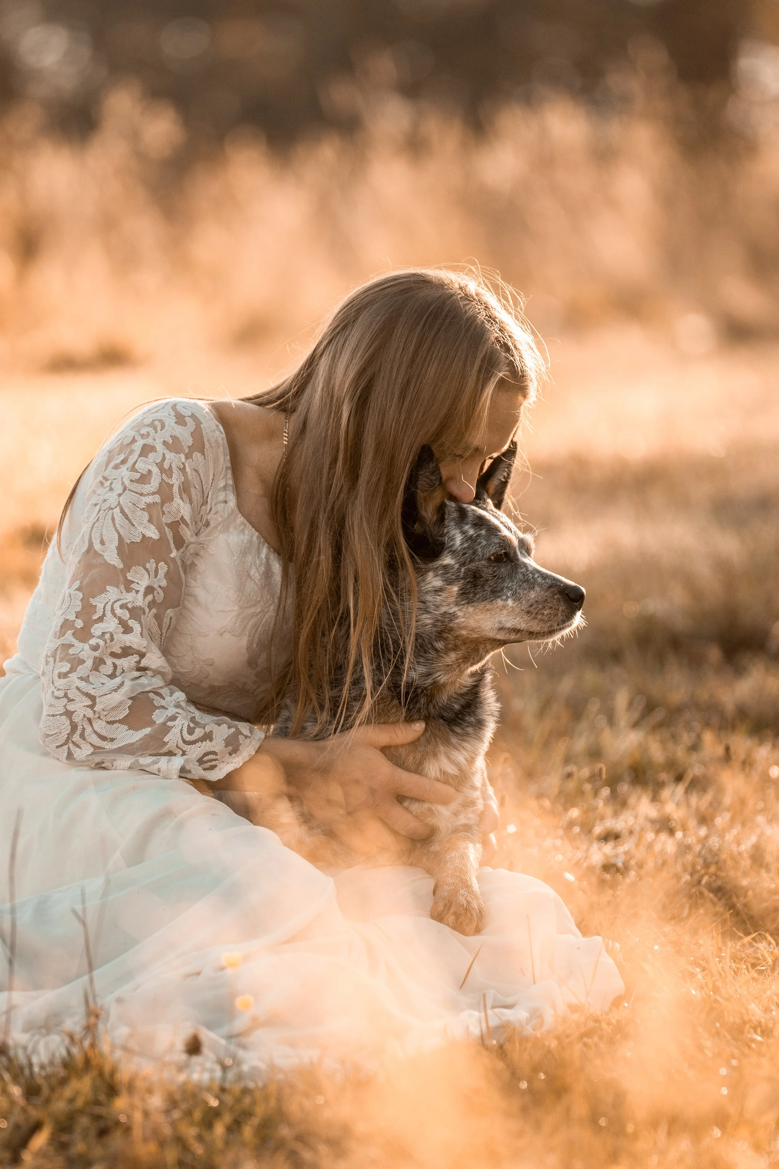 A woman wearing a white lace dress sitting on the ground in a field, hugging a dog with a blue merle coat, during sunset.