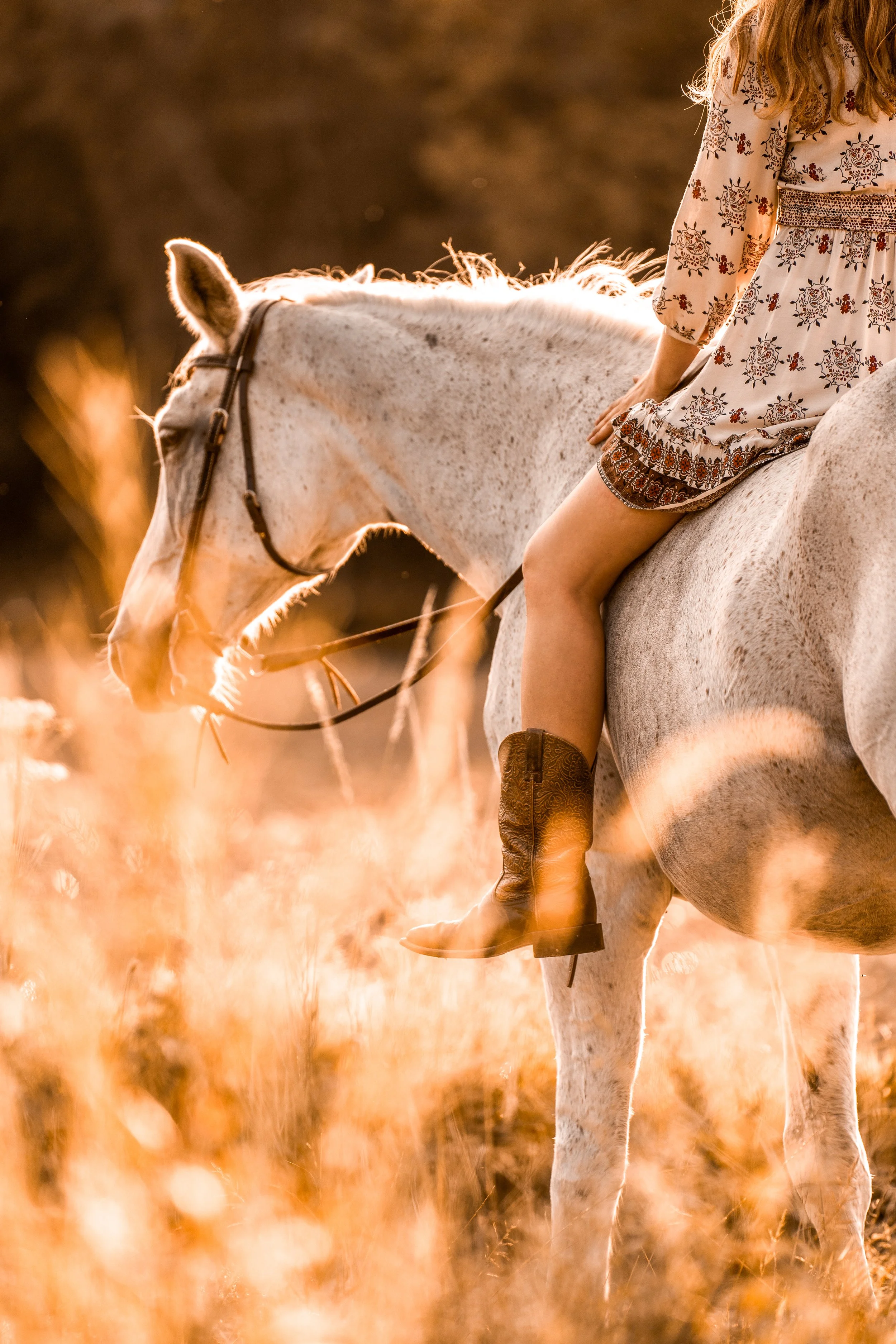 Eine Person, die bei Sonnenuntergang auf einem weißen Pferd durch ein Feld mit hohem, goldenem Gras reitet.