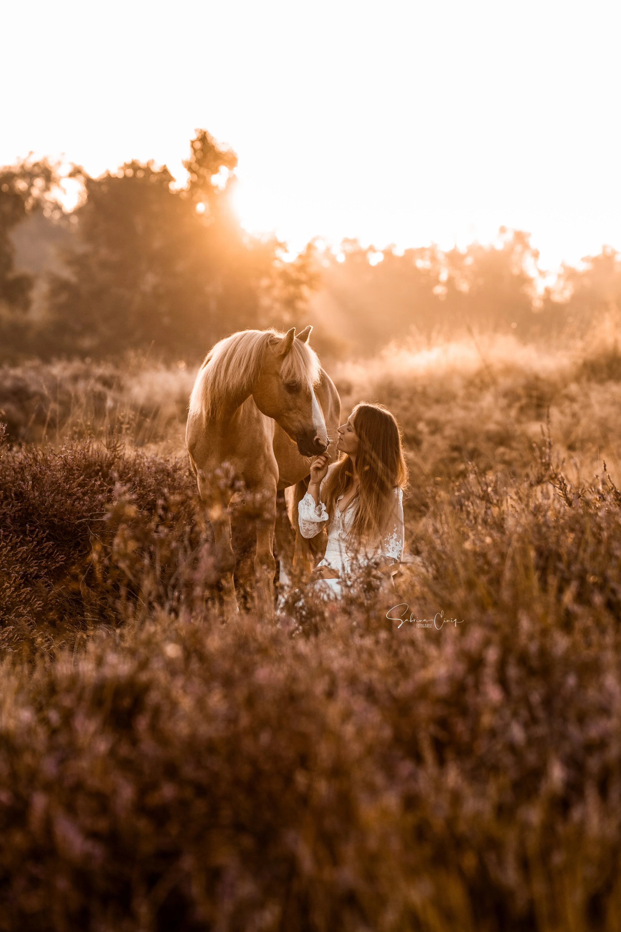 Eine Frau in einem weißen Kleid kniet in einem Feld mit hohen Pflanzen und streichelt sanft ein Palomino-Pferd, während die Sonne untergeht, warmes Sonnenlicht die Szene taucht und im Hintergrund Bäume zu sehen sind.