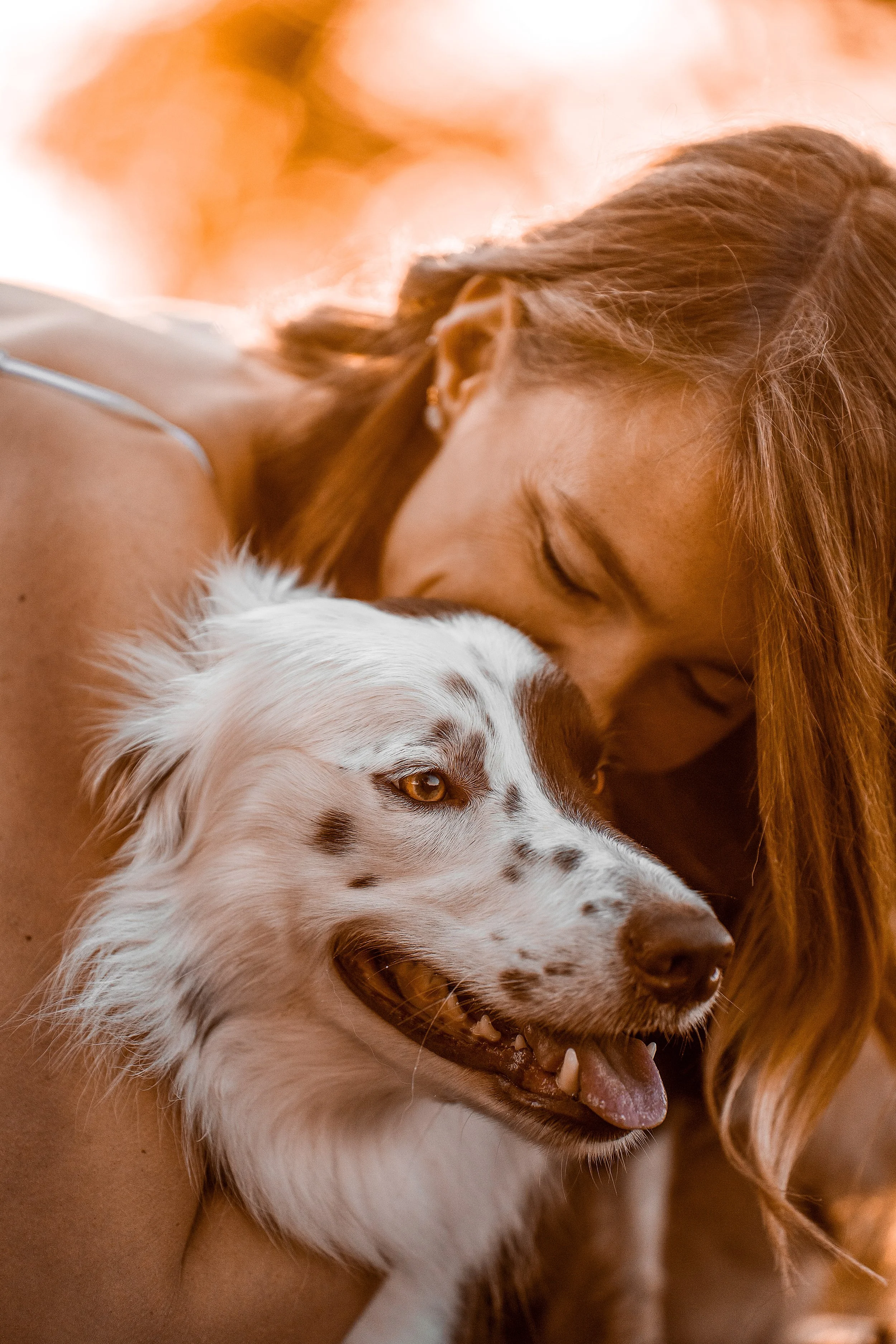 A woman with long, brown hair leaning her face against a happy, white and brown spotted dog with a sticking out tongue.