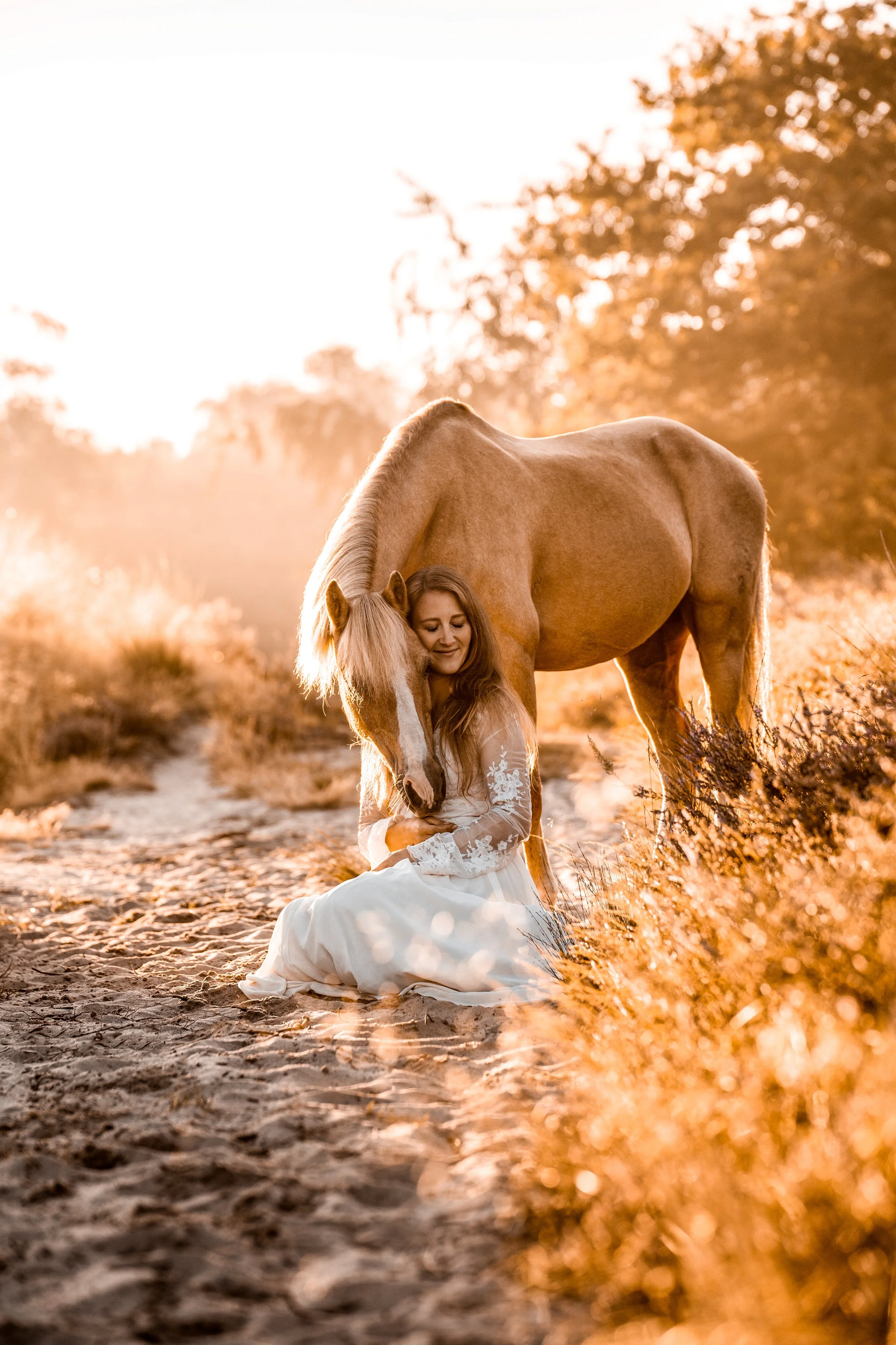 horse photography kiel baltic sea