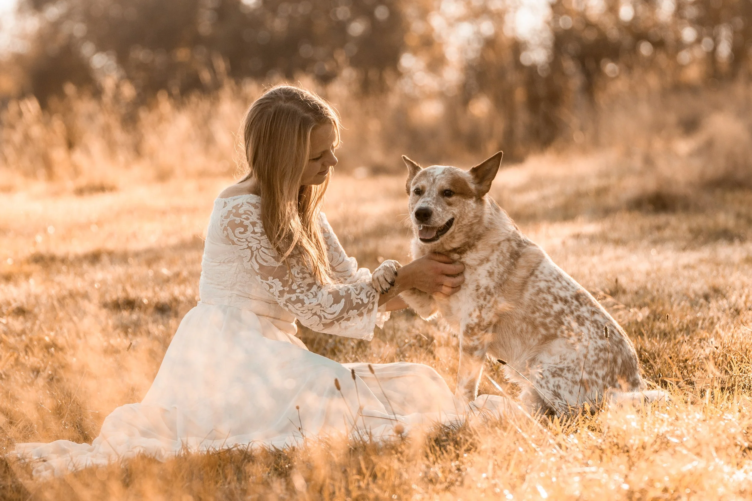 A woman with long blonde hair wearing a white lace dress kneeling on grass, gently holding a brown and white speckled dog with pointy ears in a field during sunset.