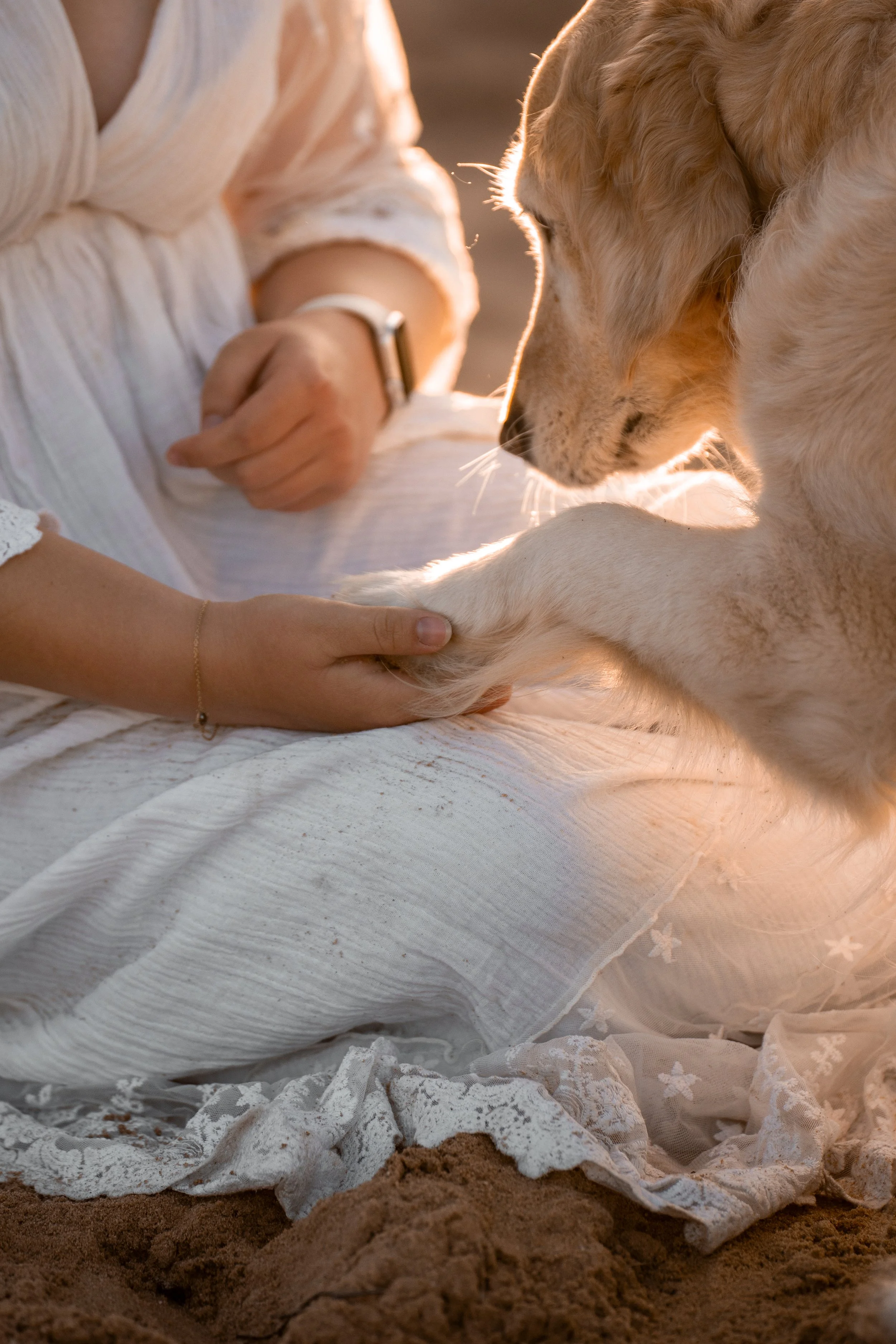 Person dressed in white with lace details sits on the ground with a white lace cloth and a golden retriever puppy, holding the puppy's paw in their hand during golden hour sunlight.