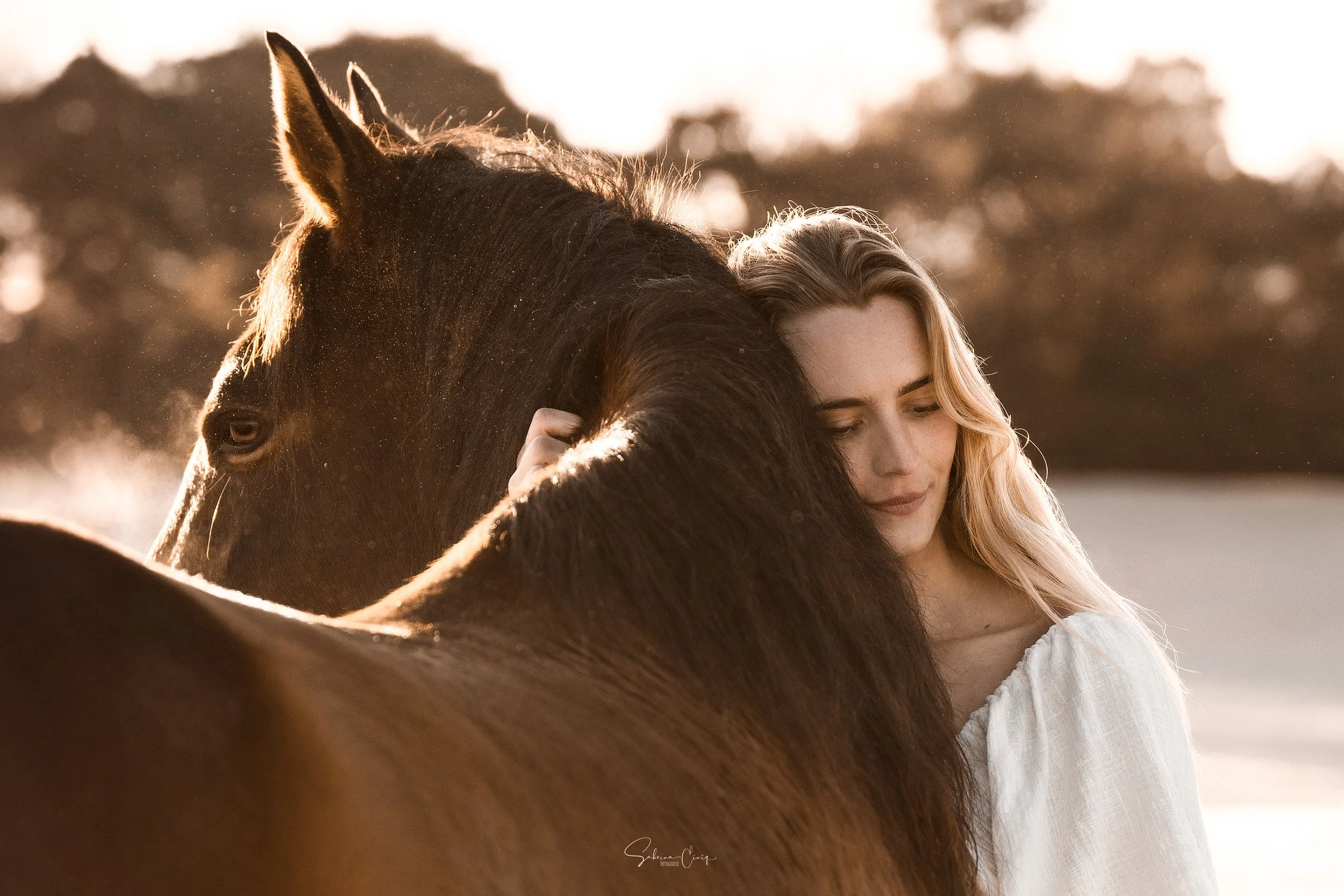 Emotionale Pferdefotografie in Dänemark
