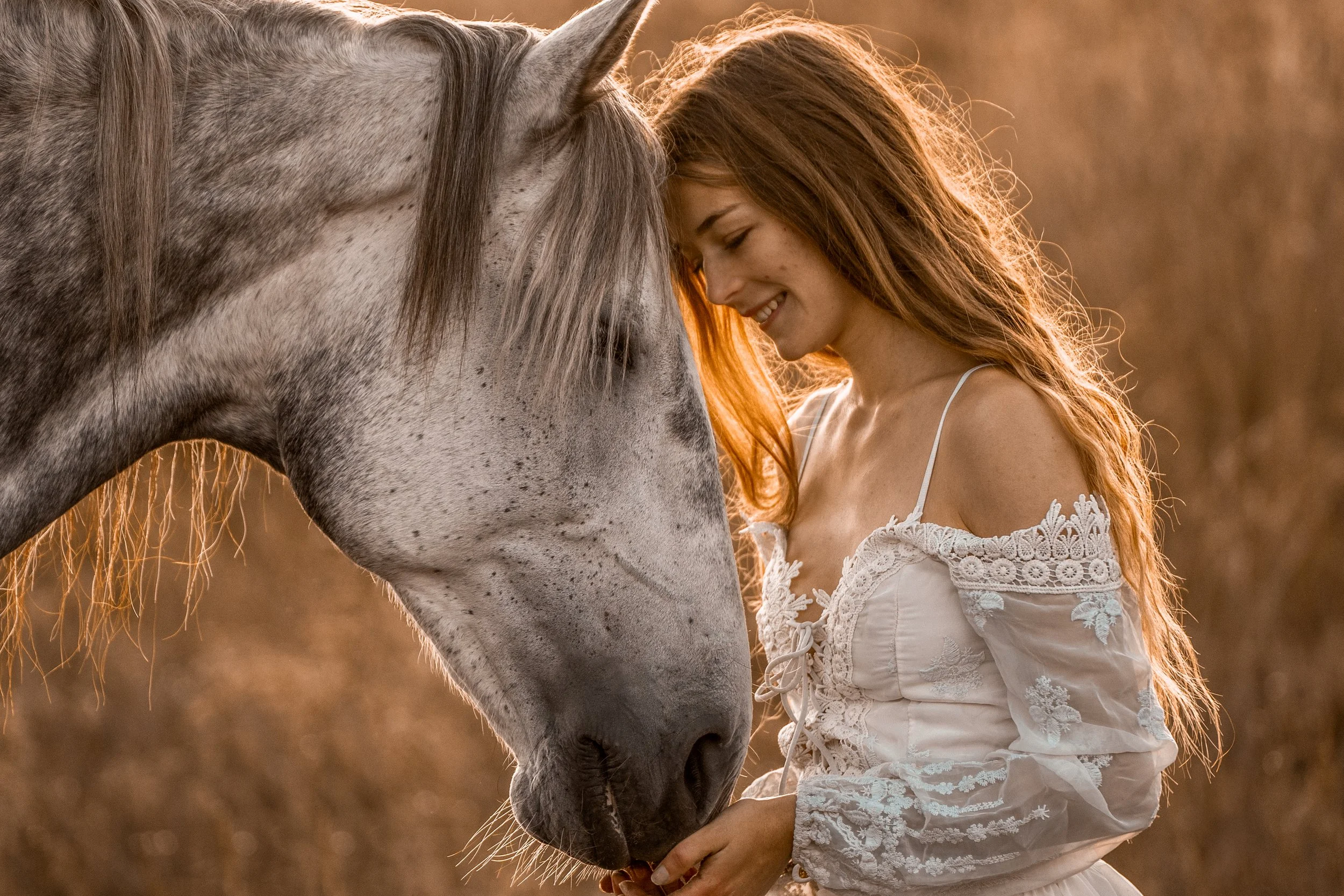 A young woman with long red hair and a white lace dress gently kisses a gray horse's face in a field during sunset.