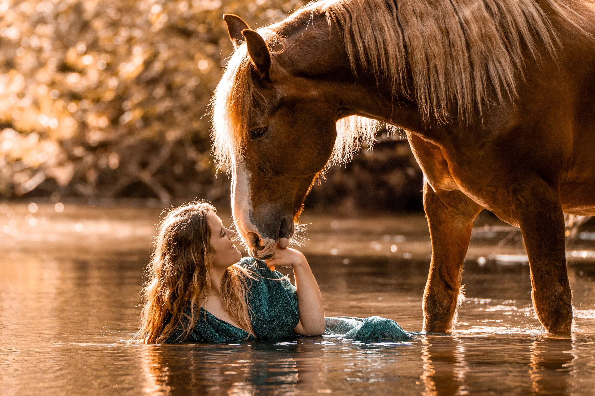Eine Frau mit langen roten Haaren sitzt im Wasser und streichelt sanft das Gesicht eines großen braunen Pferdes, vor einem verschwommenen Herbsthintergrund.