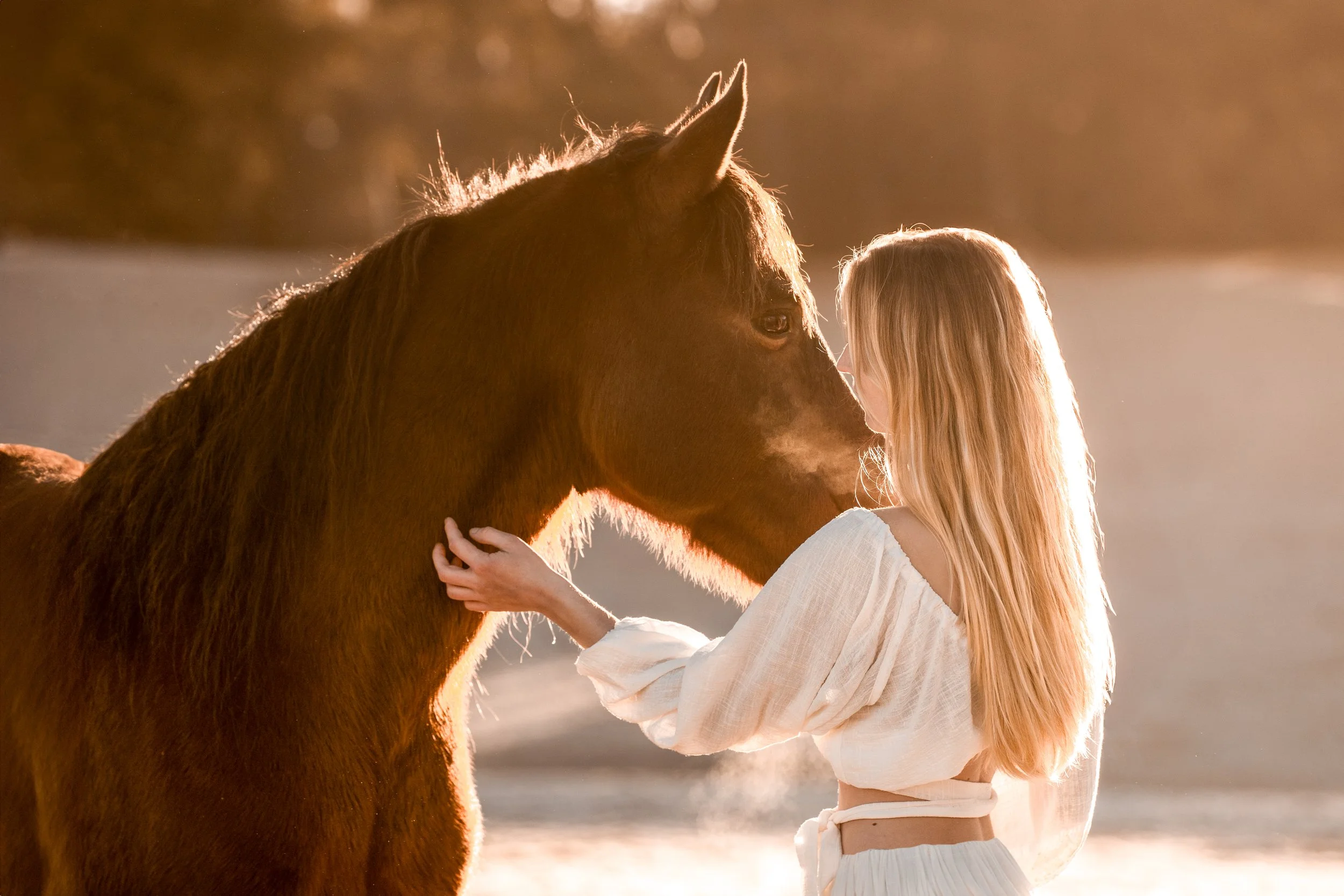 Eine junge Frau mit langen blonden Haaren und einem weißen Kleid streicht einem braunen Pferd in der goldenen Stunde sanft über das Gesicht, während das Sonnenlicht einen warmen Schein um sie herum erzeugt.