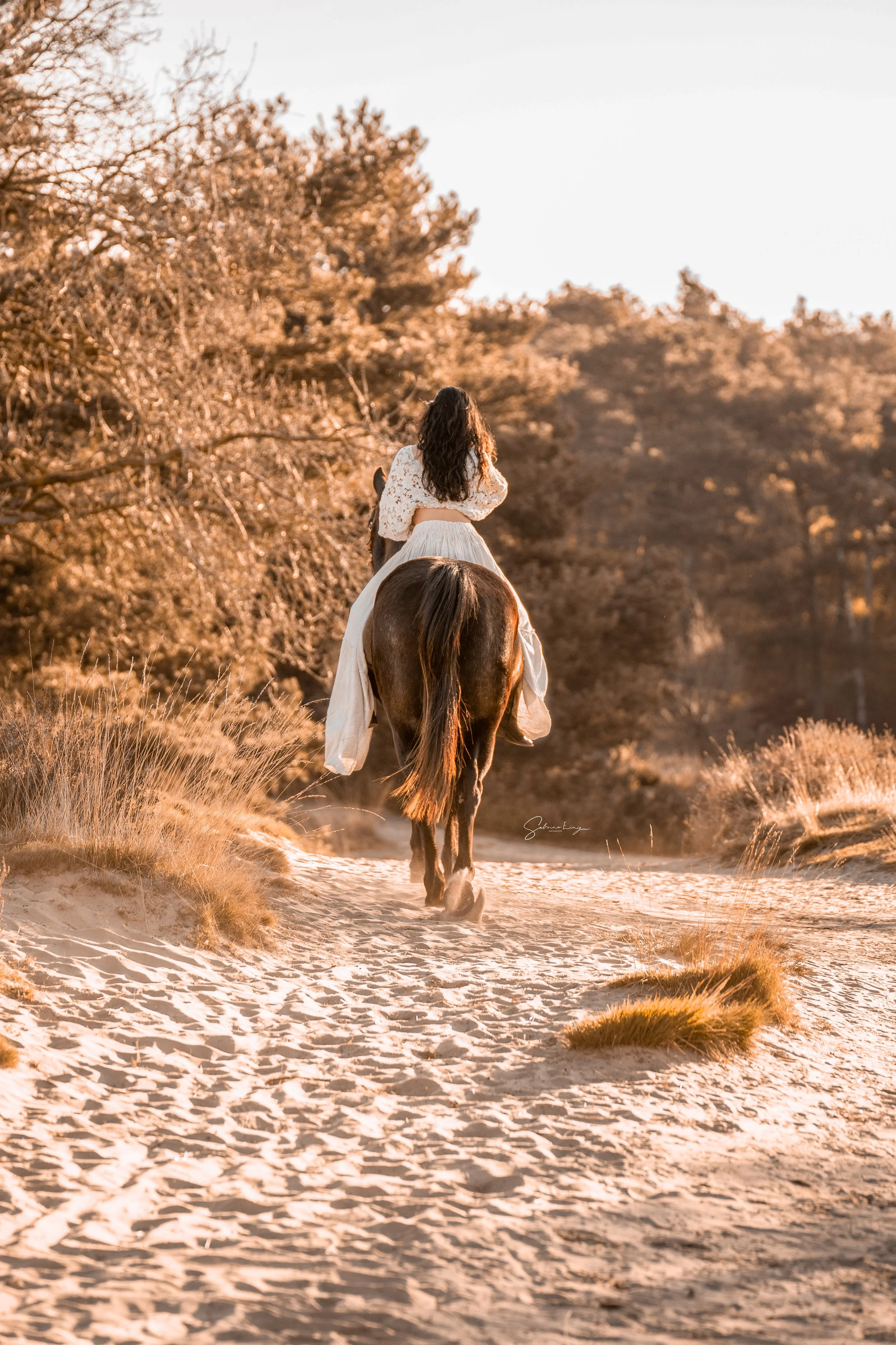 Eine Frau mit langen Haaren reitet auf einem Pferd auf einem sandigen Pfad durch eine Landschaft mit Gras und Bäumen, die von warmem, goldenem Sonnenlicht erhellt wird.