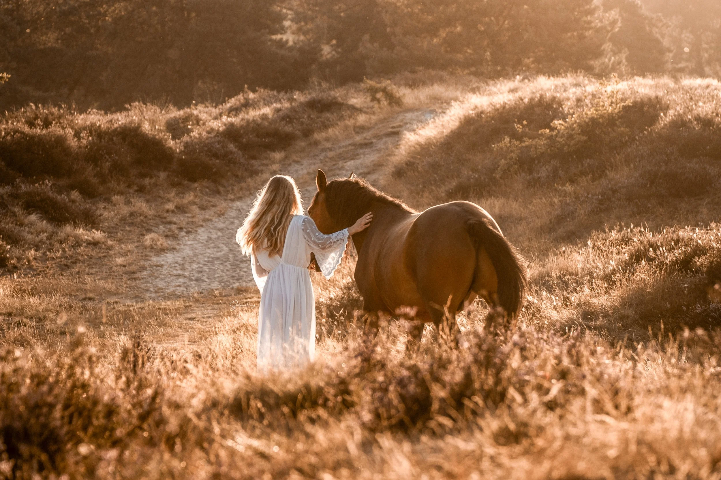 A woman with long blonde hair wearing a white dress touches her horse on a dirt path in a field during sunset.