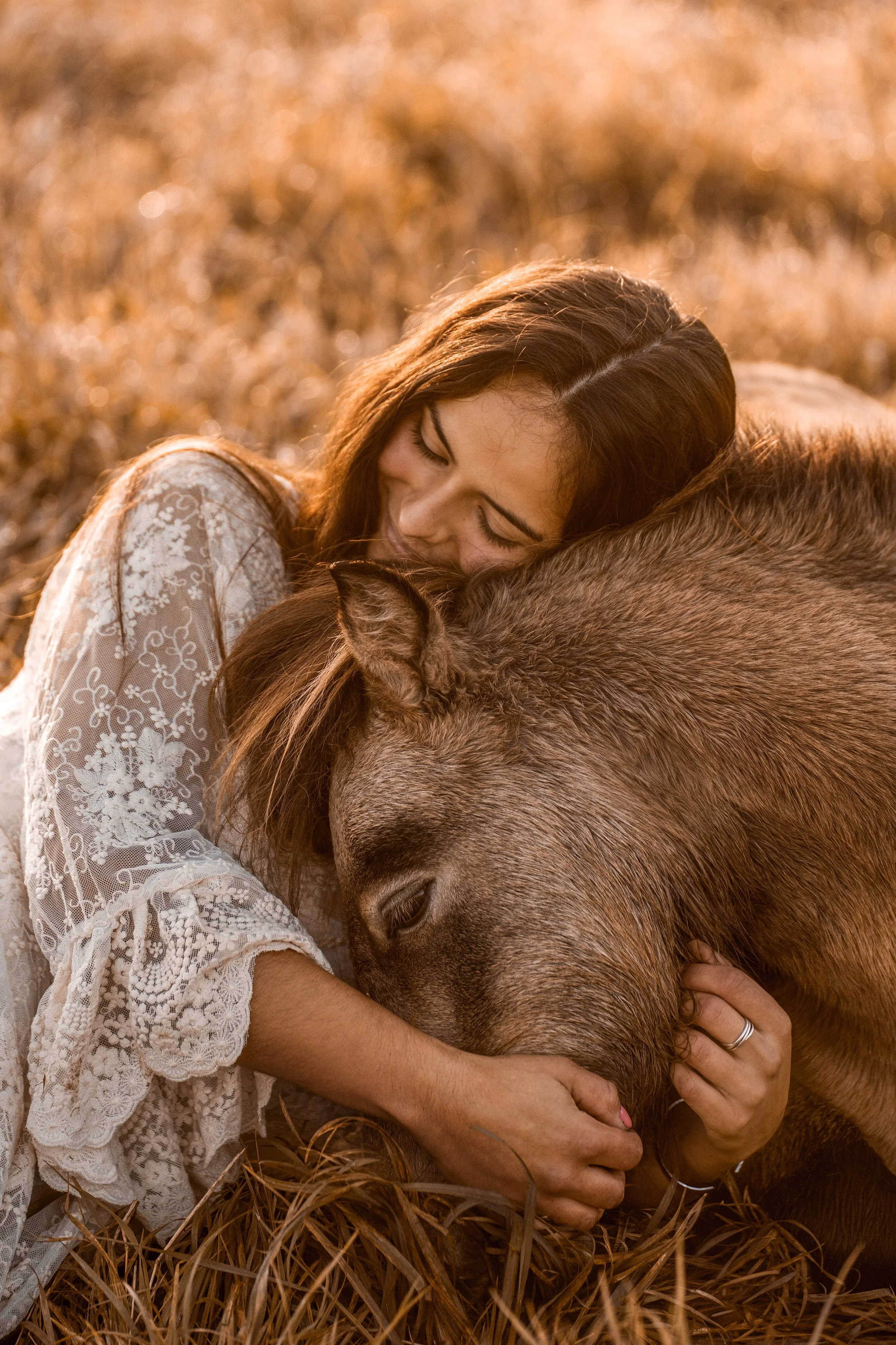 Eine Frau mit langen, welligen Haaren und einem Spitzenkleid, die ein braunes Pferd in einem Feld aus trockenem Gras umarmt, während warmes Sonnenlicht auf sie fällt.