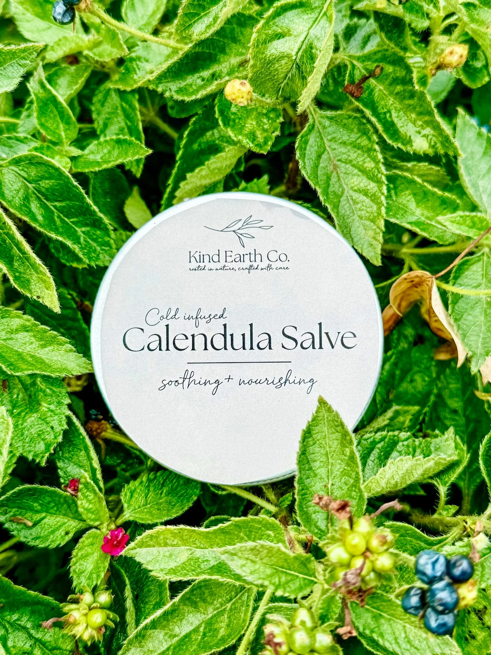 Calendula Salve