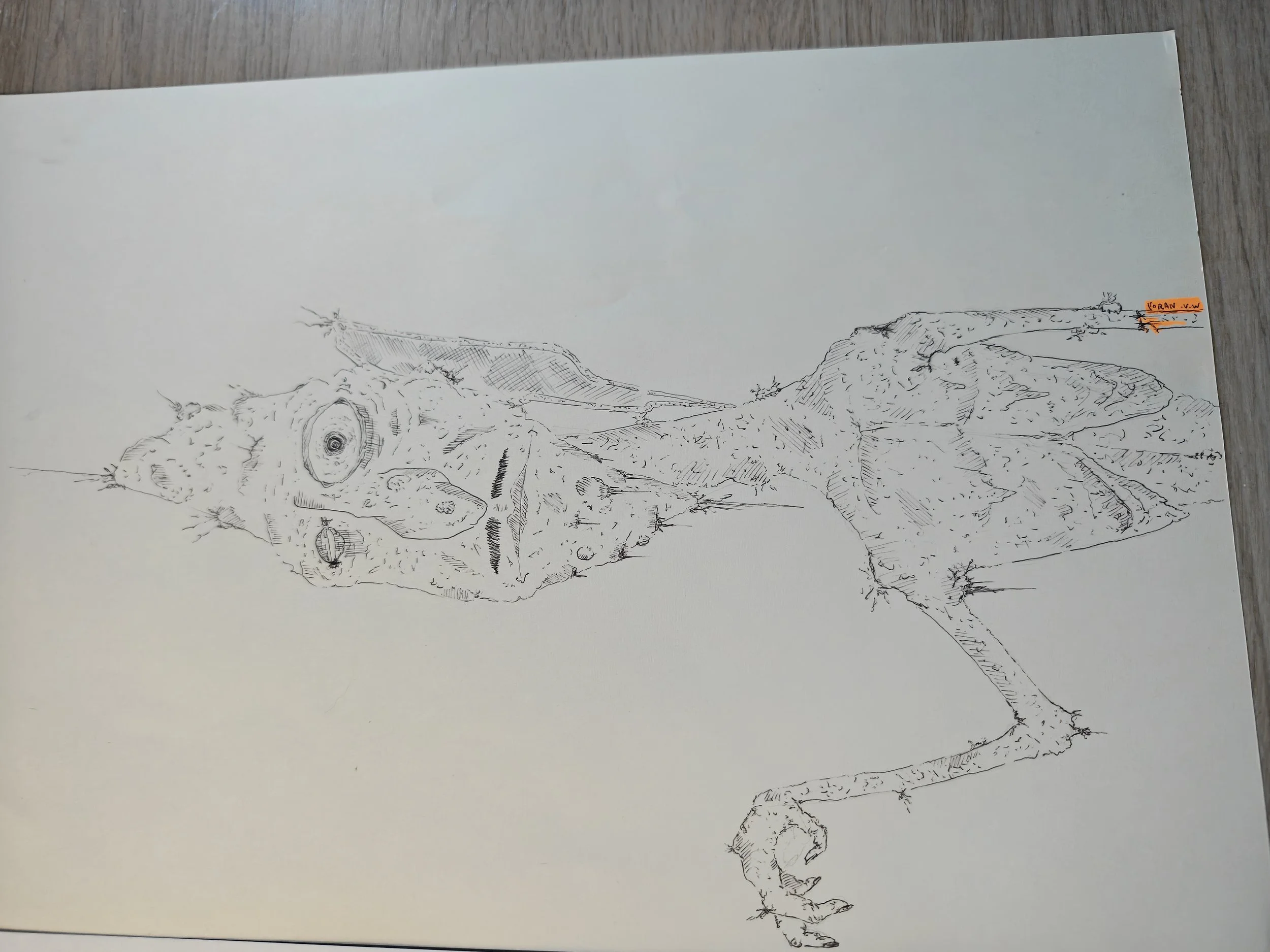 "Untitled" (original)