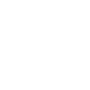 The Rennsport Collective