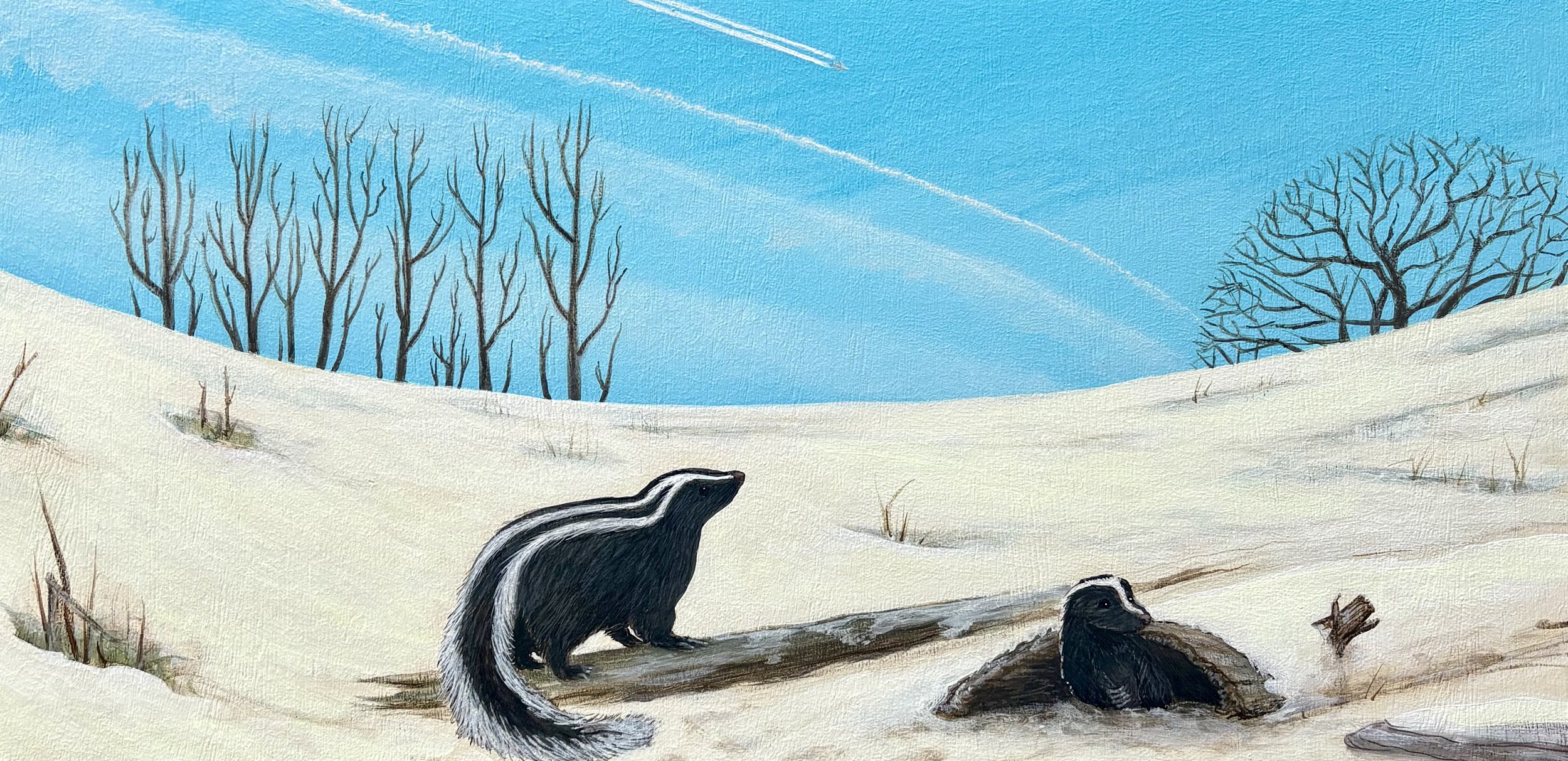Skunk sees what's up / 2026 /AOW/ 12" x 24" / $1800