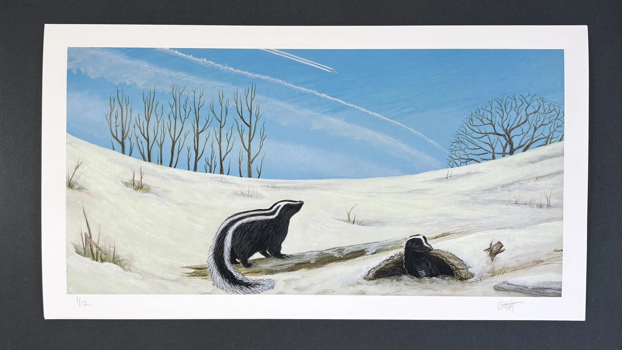 "Skunk sees what's up" - Limited Edition Giclée Print