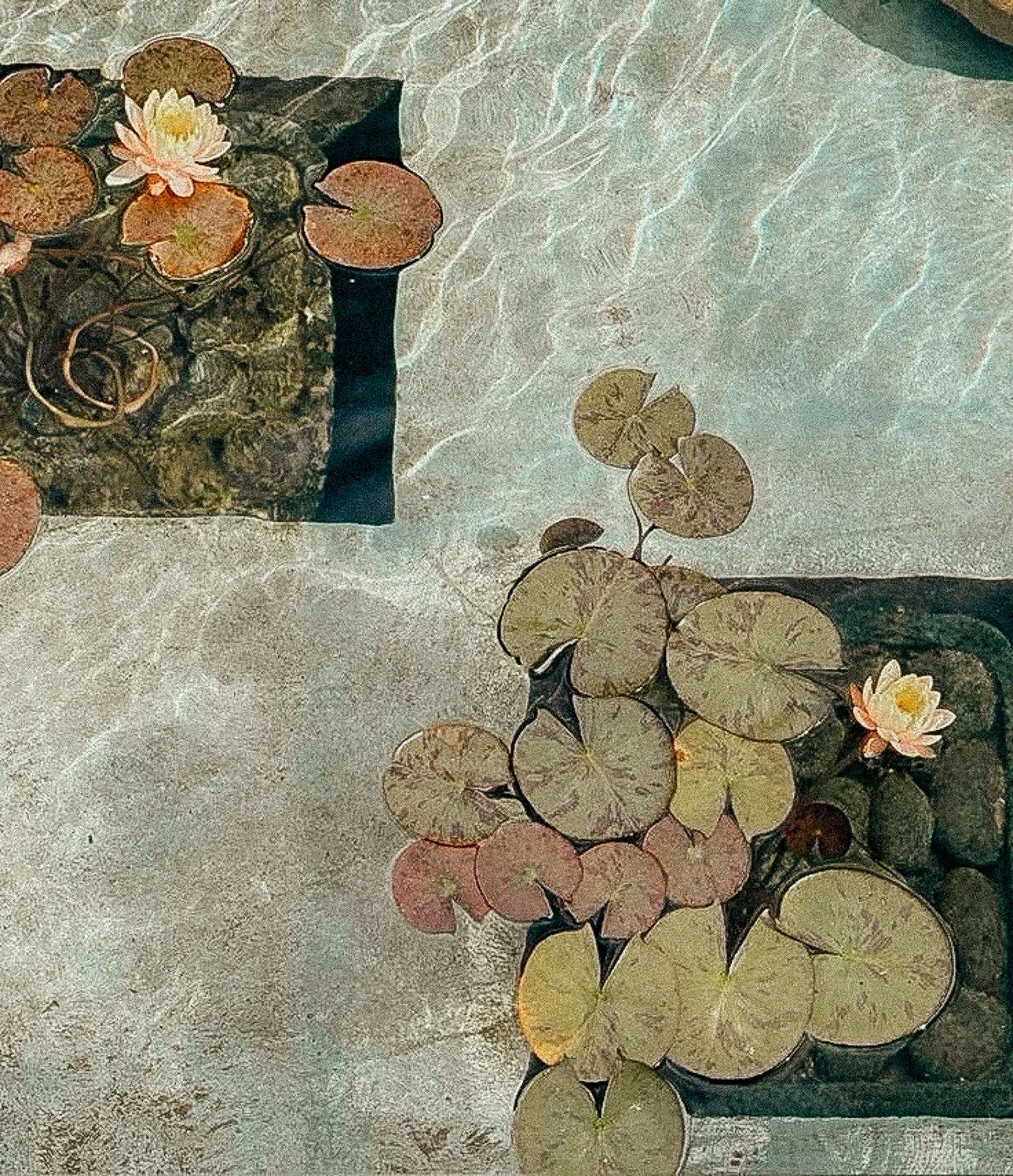 Water lilies with floating leaves and a single blooming white and pink water lily flower on a pond with a textured surface.