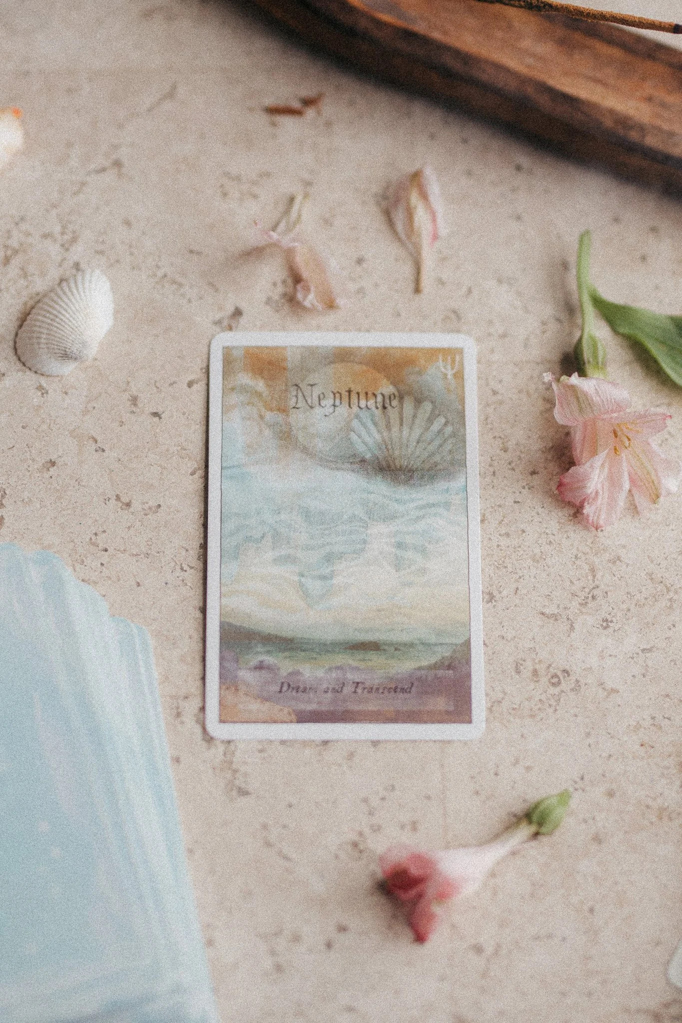 A tarot card titled 'Neptune' with an illustration of a scallop shell above water, and a label at the bottom reading 'Dream and Tranquil'. There are pink flowers, seashells, and a piece of wood on a sandy surface around the card.