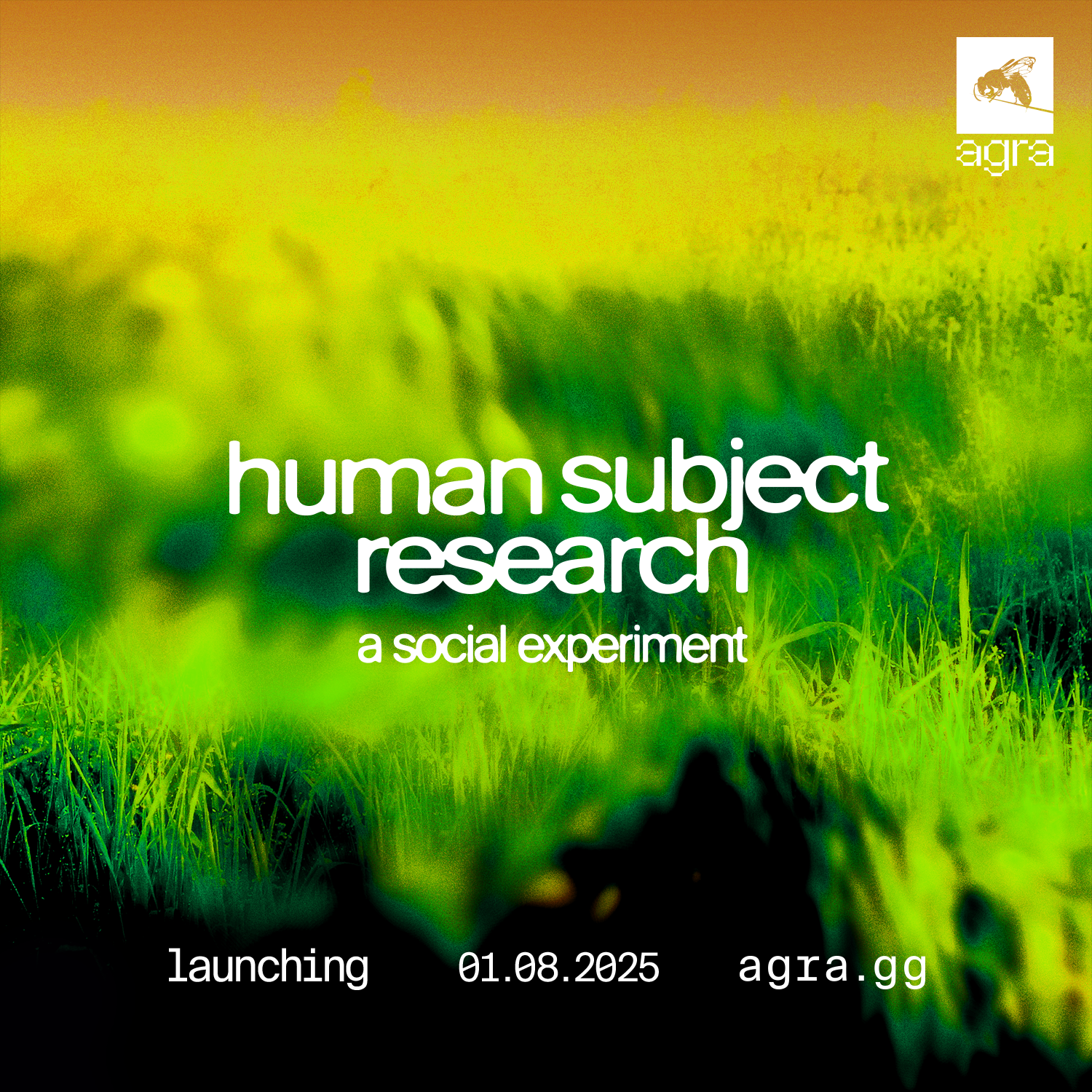 Brand Graphics for Agra