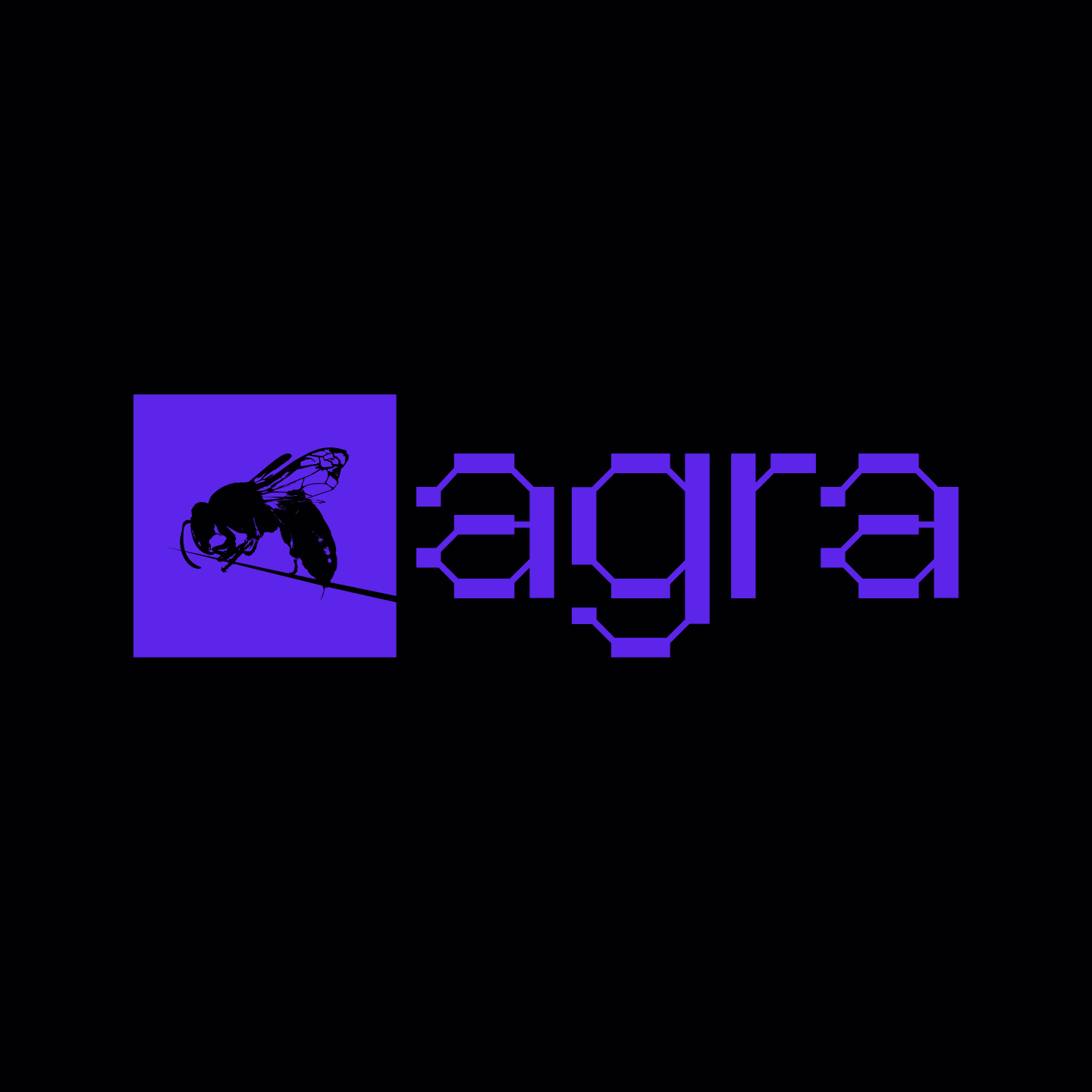 Brand Design for Agra