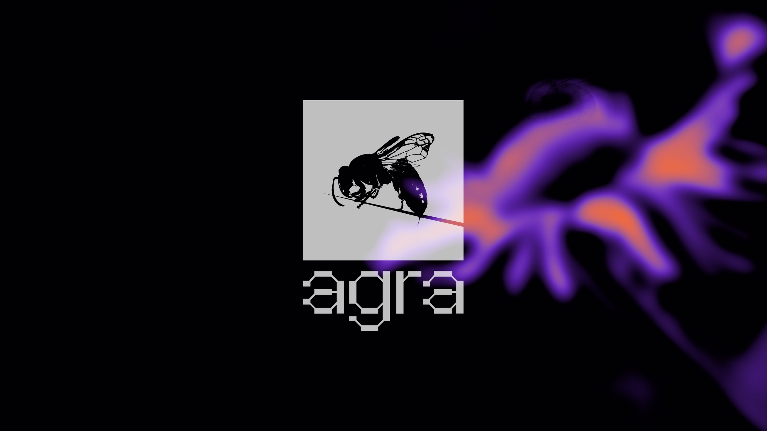 Brand Design for Agra
