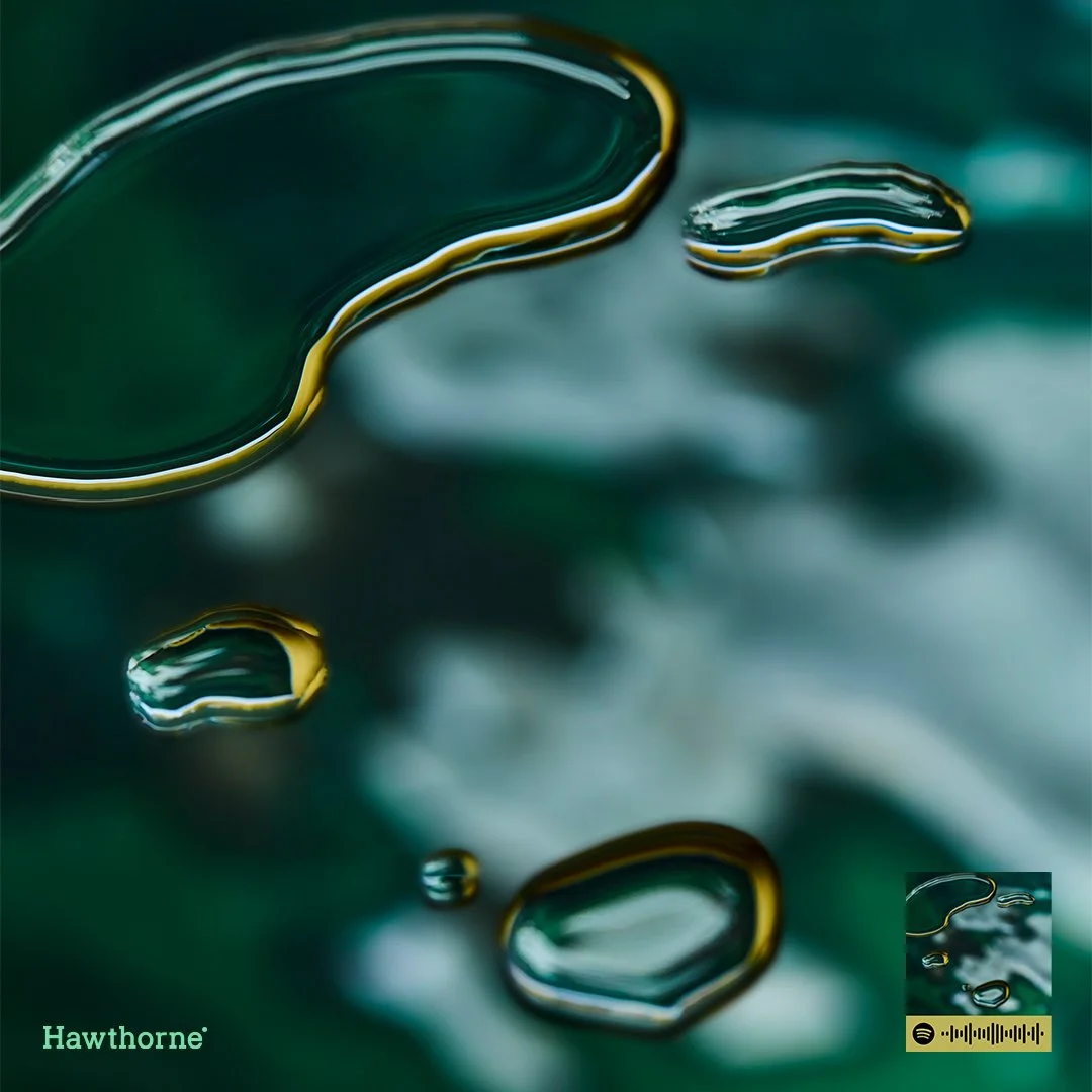 Art Direction for Hawthorne — Photo Credit: Scott Semler