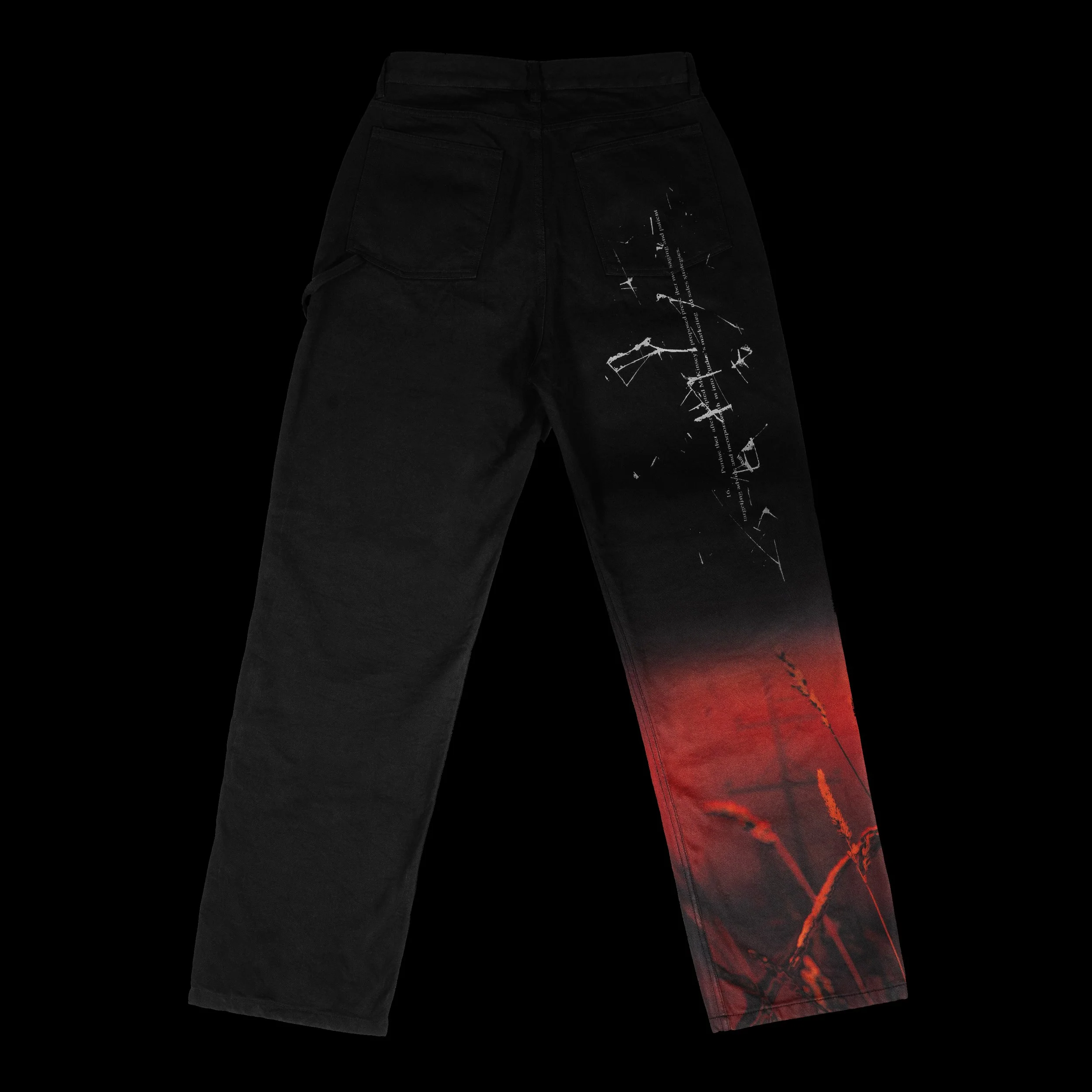 jeans-back.jpg