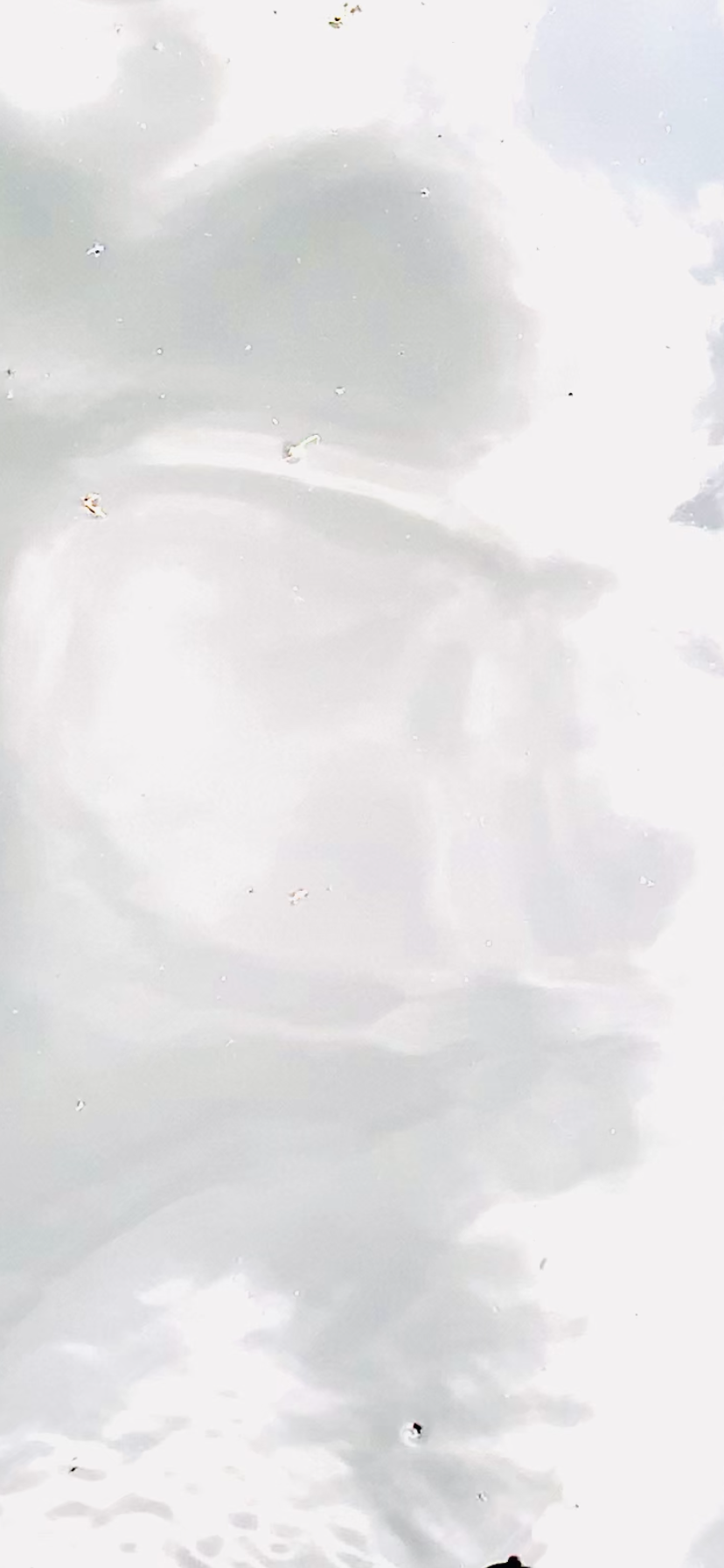 Reflected sky with clouds on a body of water, with small debris floating on the surface.