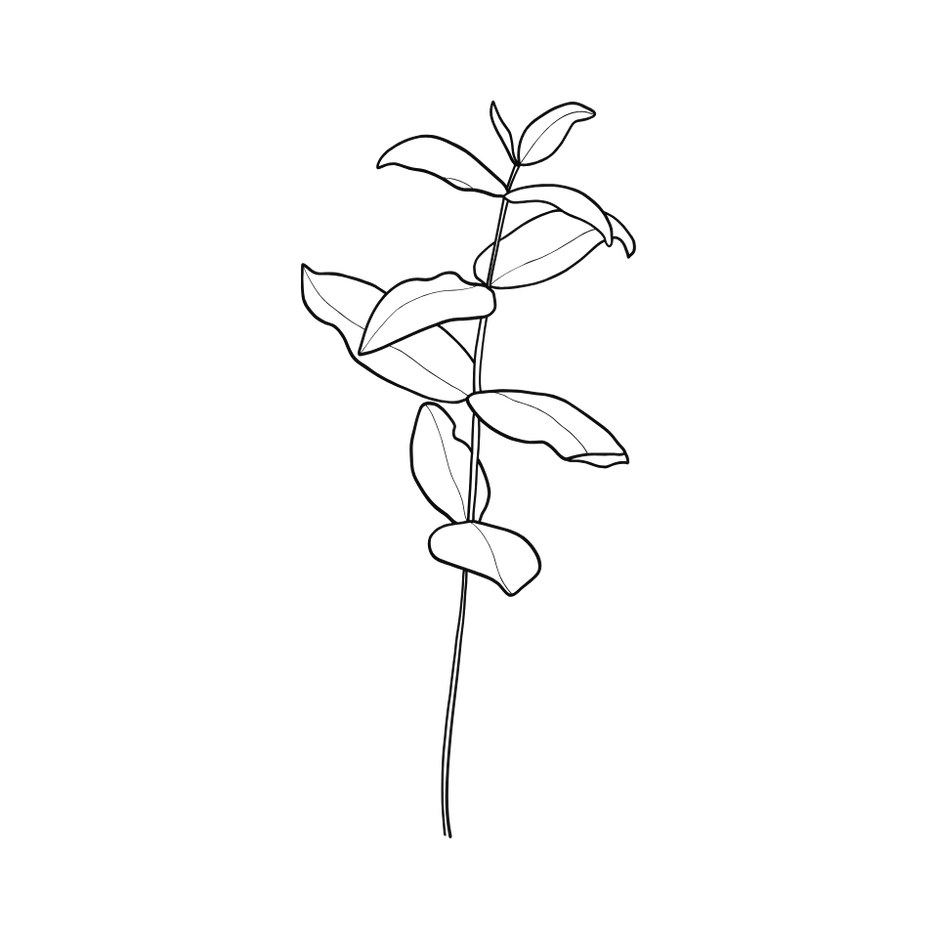 Foliage Outline